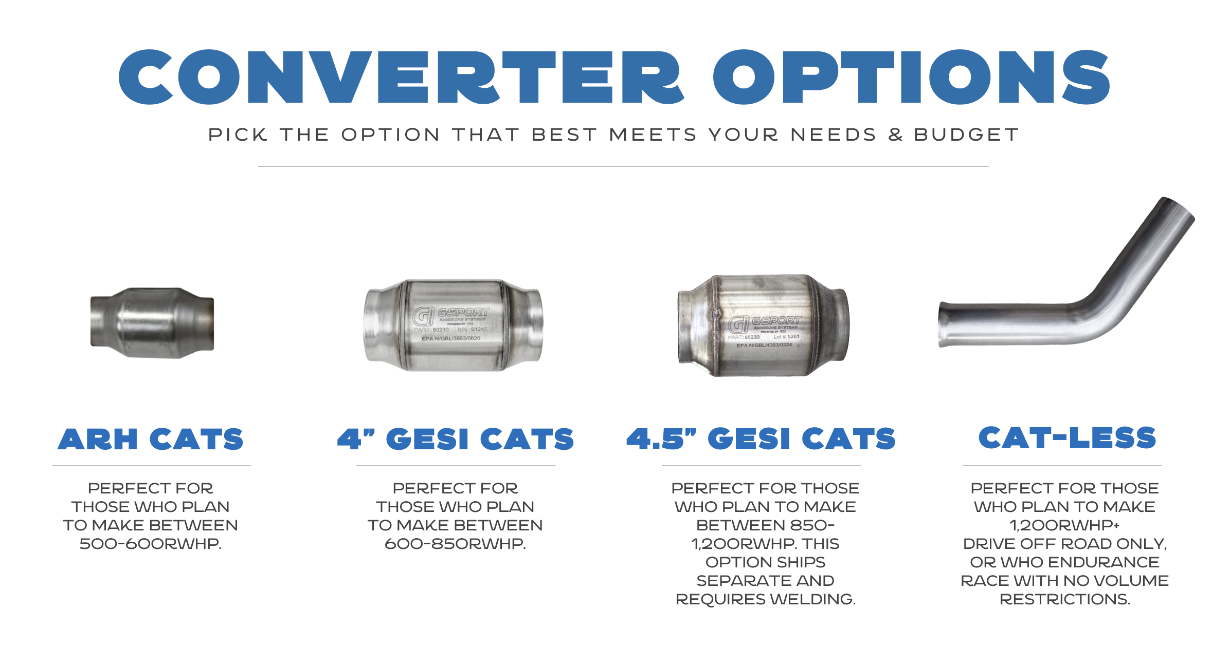 Cat Option.png (Copy)