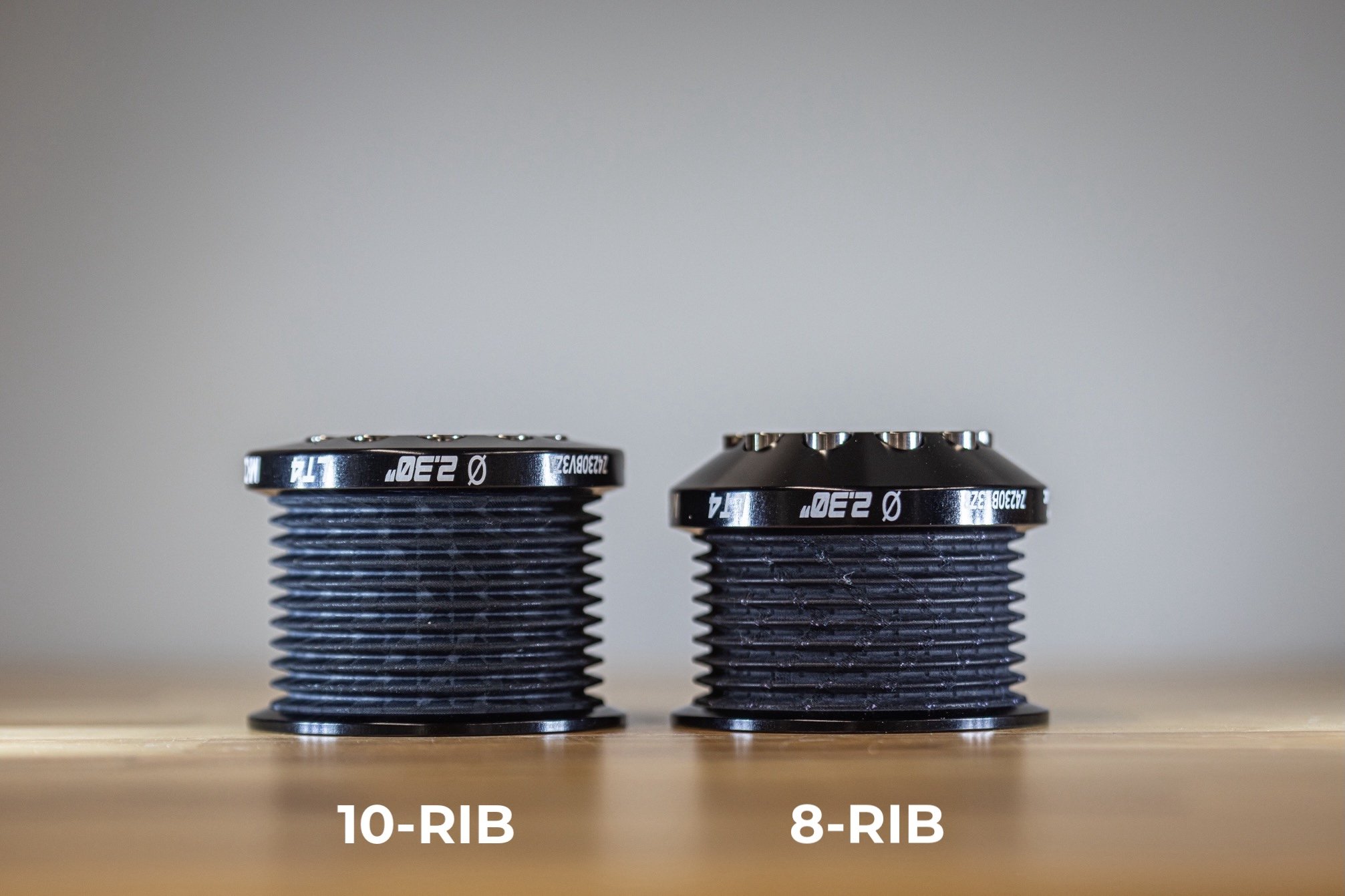ZZP 10rib.3.jpg