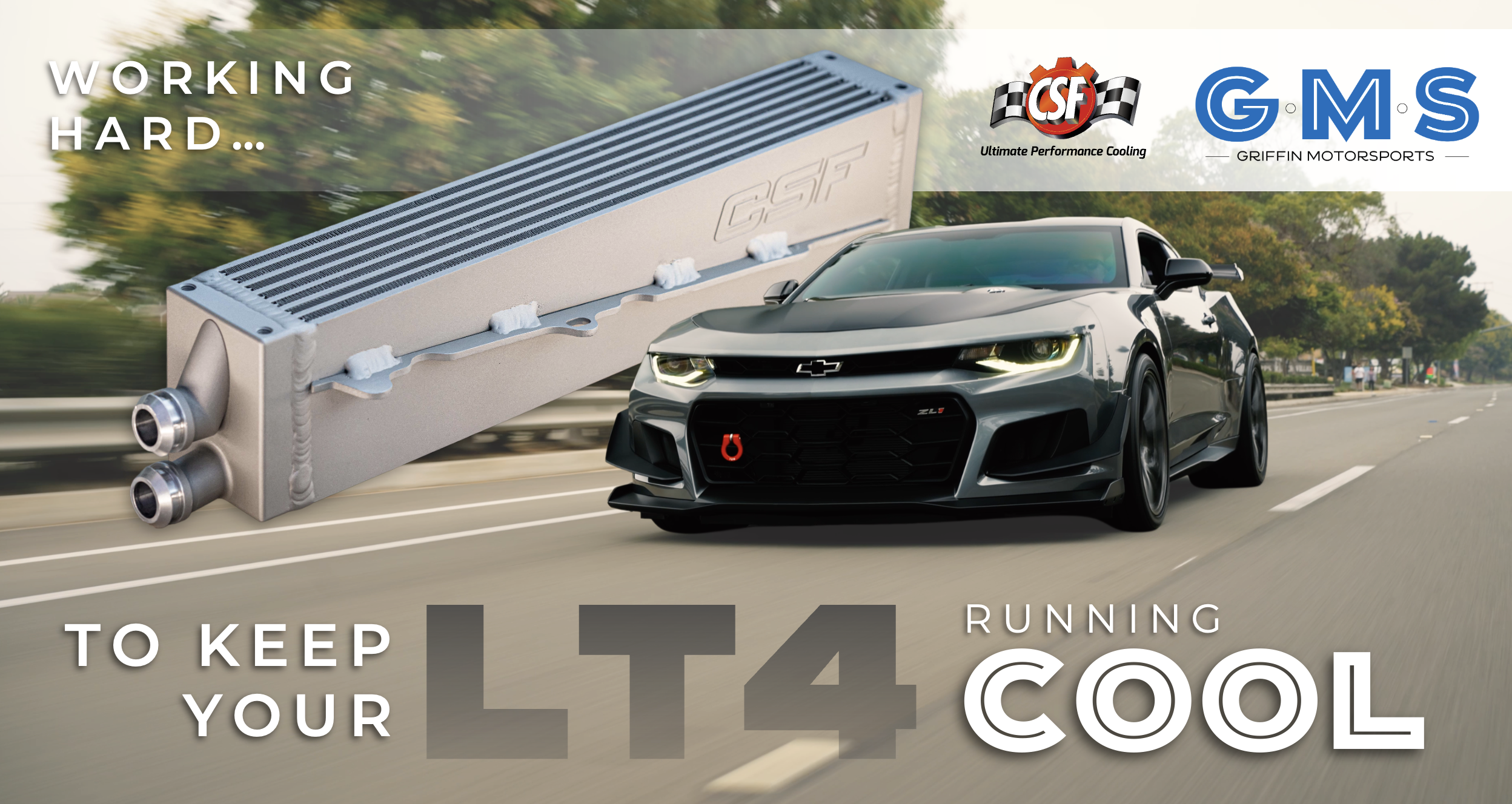 Screenshot 2026-02-04 at 4.54.22 AM.png