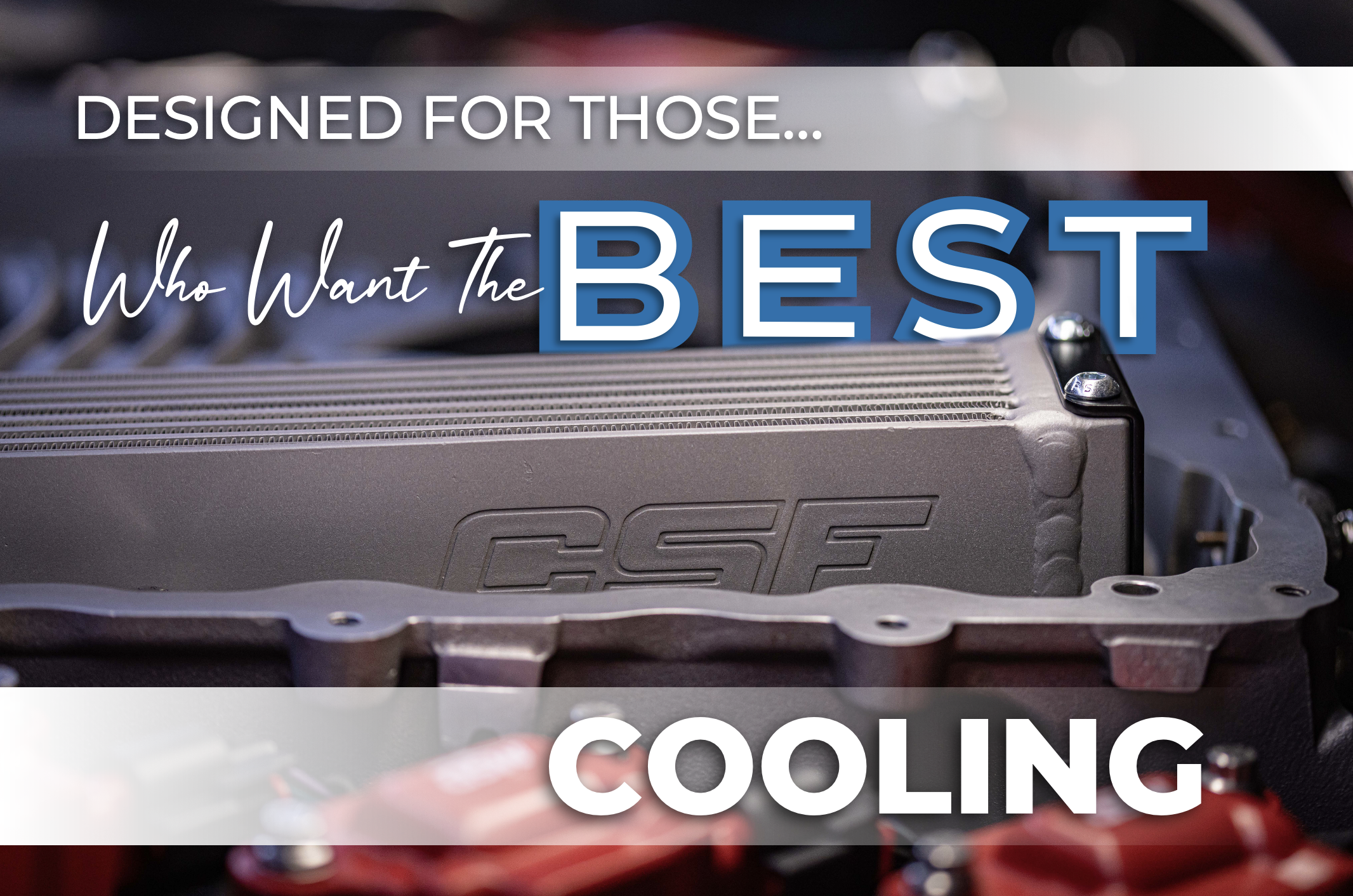 Screenshot 2026-02-04 at 4.03.24 AM.png