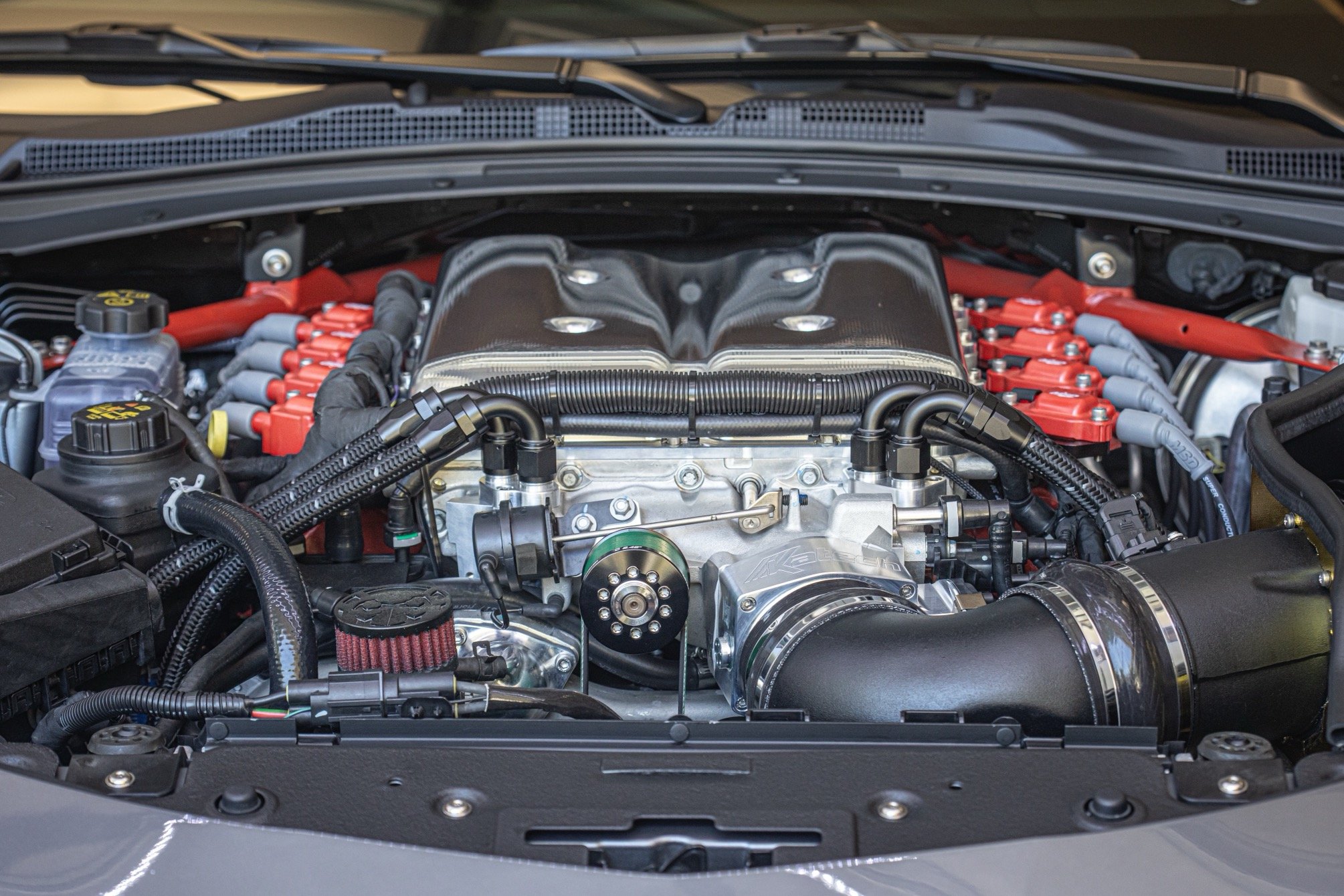 2Y6A7357.jpg