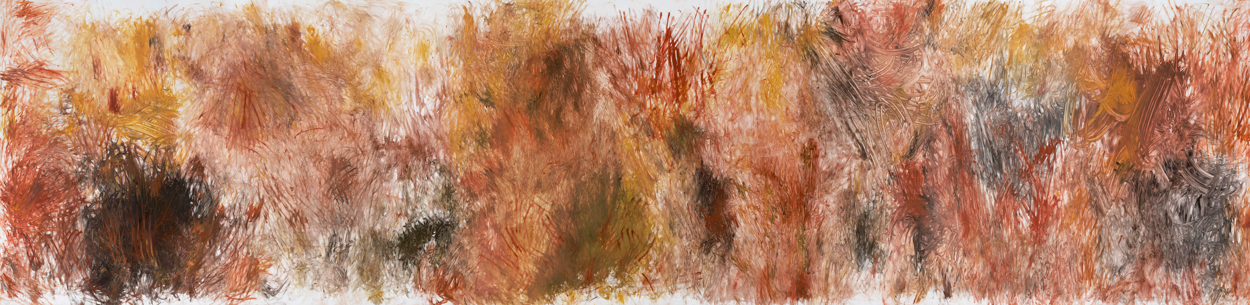 Mohn und Gedächtnis, Hematite, Yellow Ochre, Charcoal, Manganese Oxide, Kaolin, Animal Fat, Canvas, 210 X 860 cm, 2026