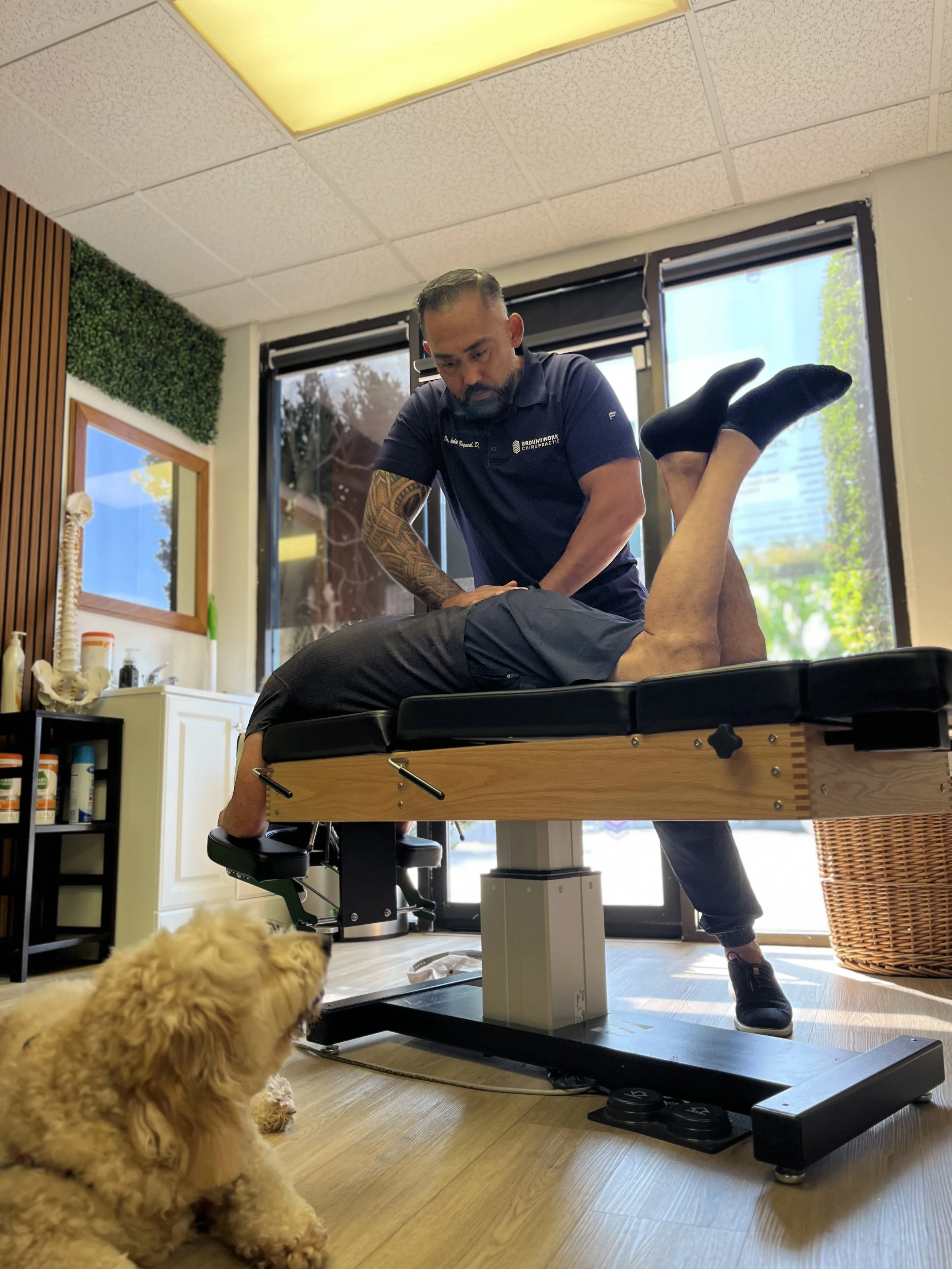 Chiropractor performing adjusting a patient's leg on chiropractic table in a clinic, with a dog in the foreground in a waiting area.