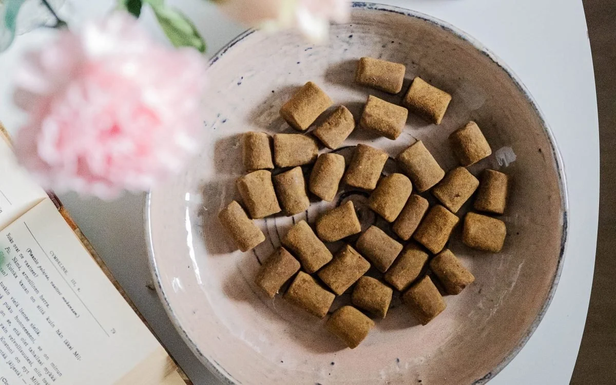 Minttu-suklaa lakut (V,G)