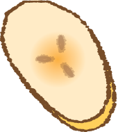 Close-up of halved pear showing seeds and inner flesh