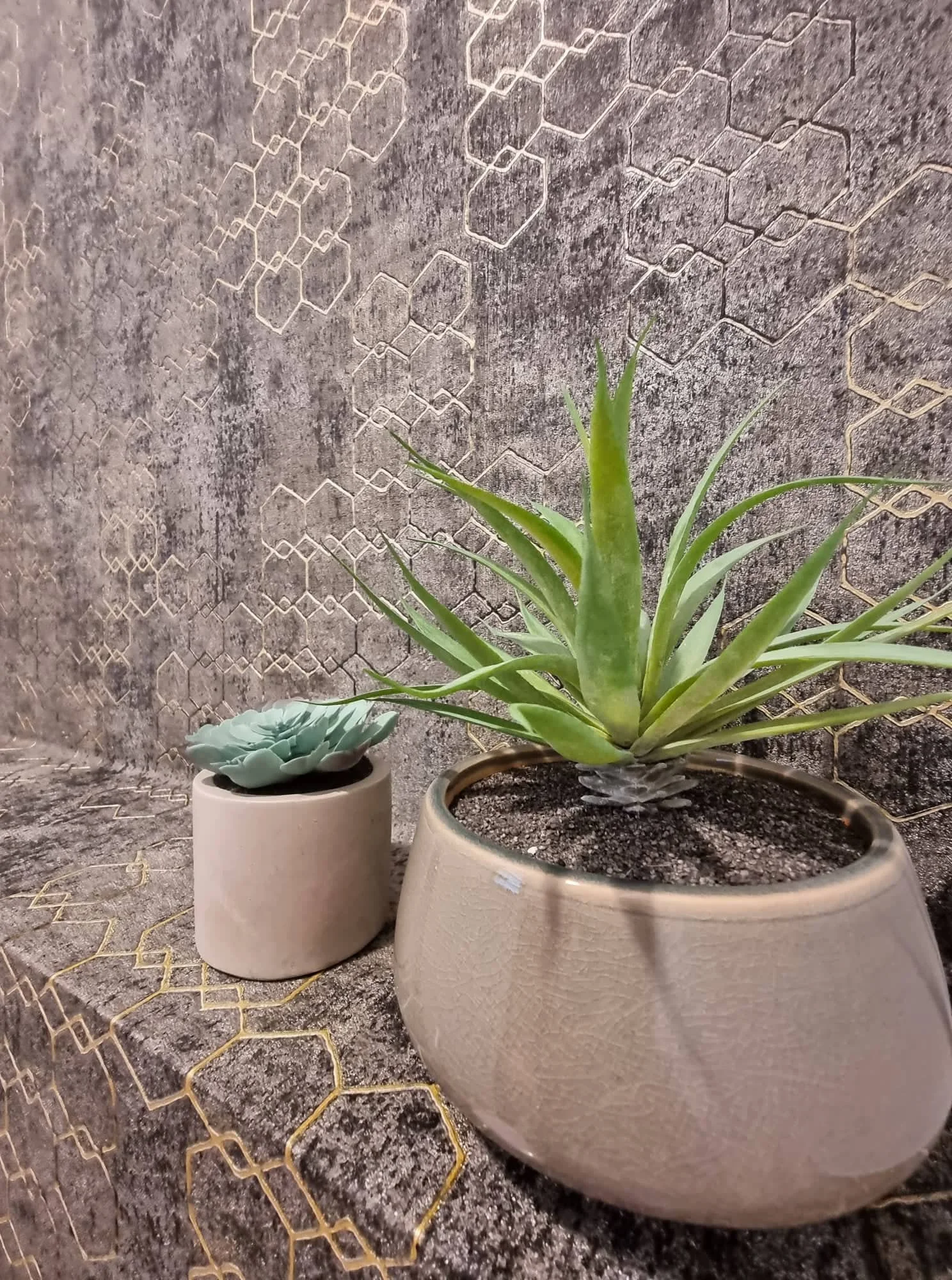 BASTY-APRES (13).jpg