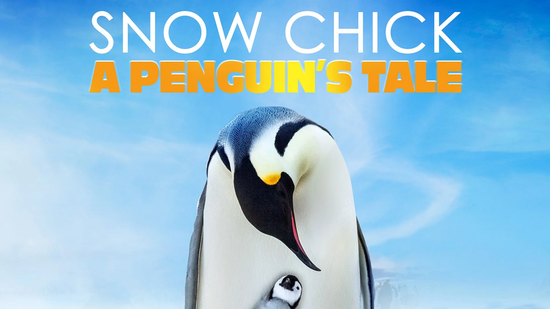“Snow Chick – A Penguin’s Tale” BBC/WNET/13 New York 2015