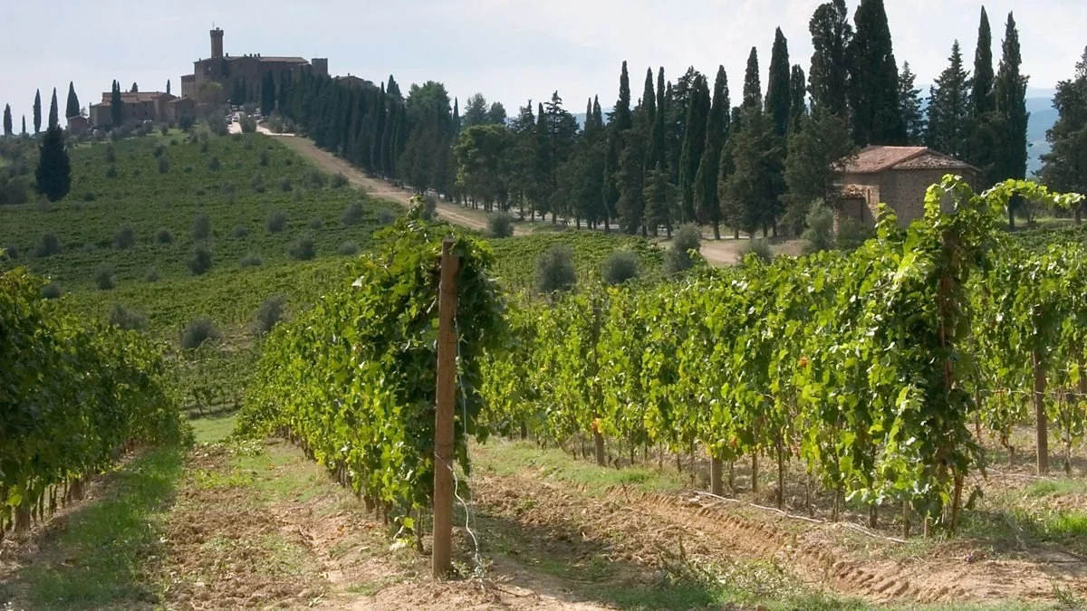 “Return to Tuscany” 20 x 30mins BBC Two 2006