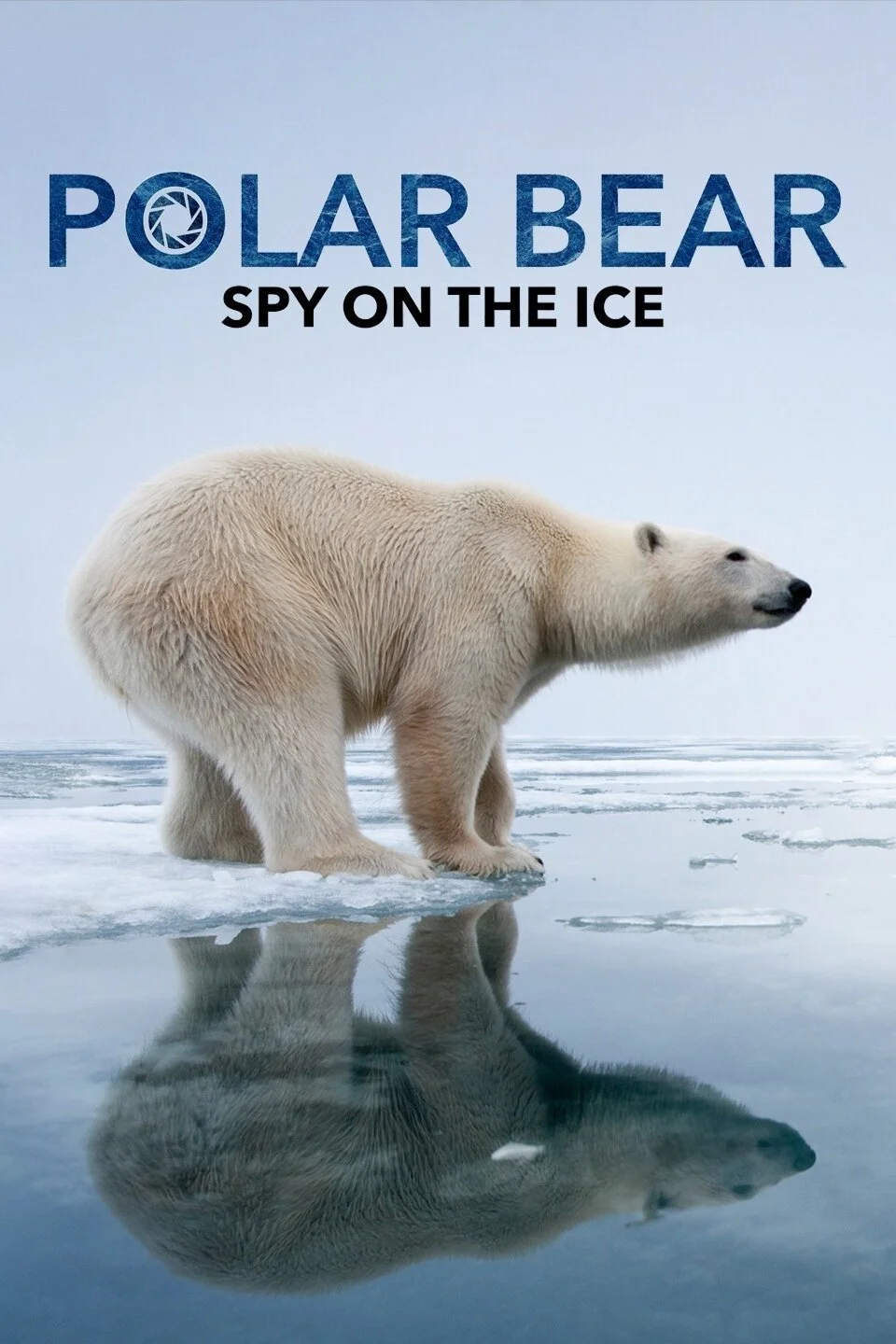 “Polar Bear – Spy on the Ice” BBC/Animal Planet 2010