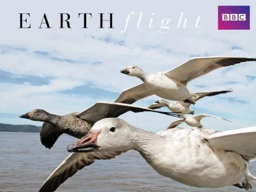 “Earthflight” Six programmes BBC/Discovery 2011