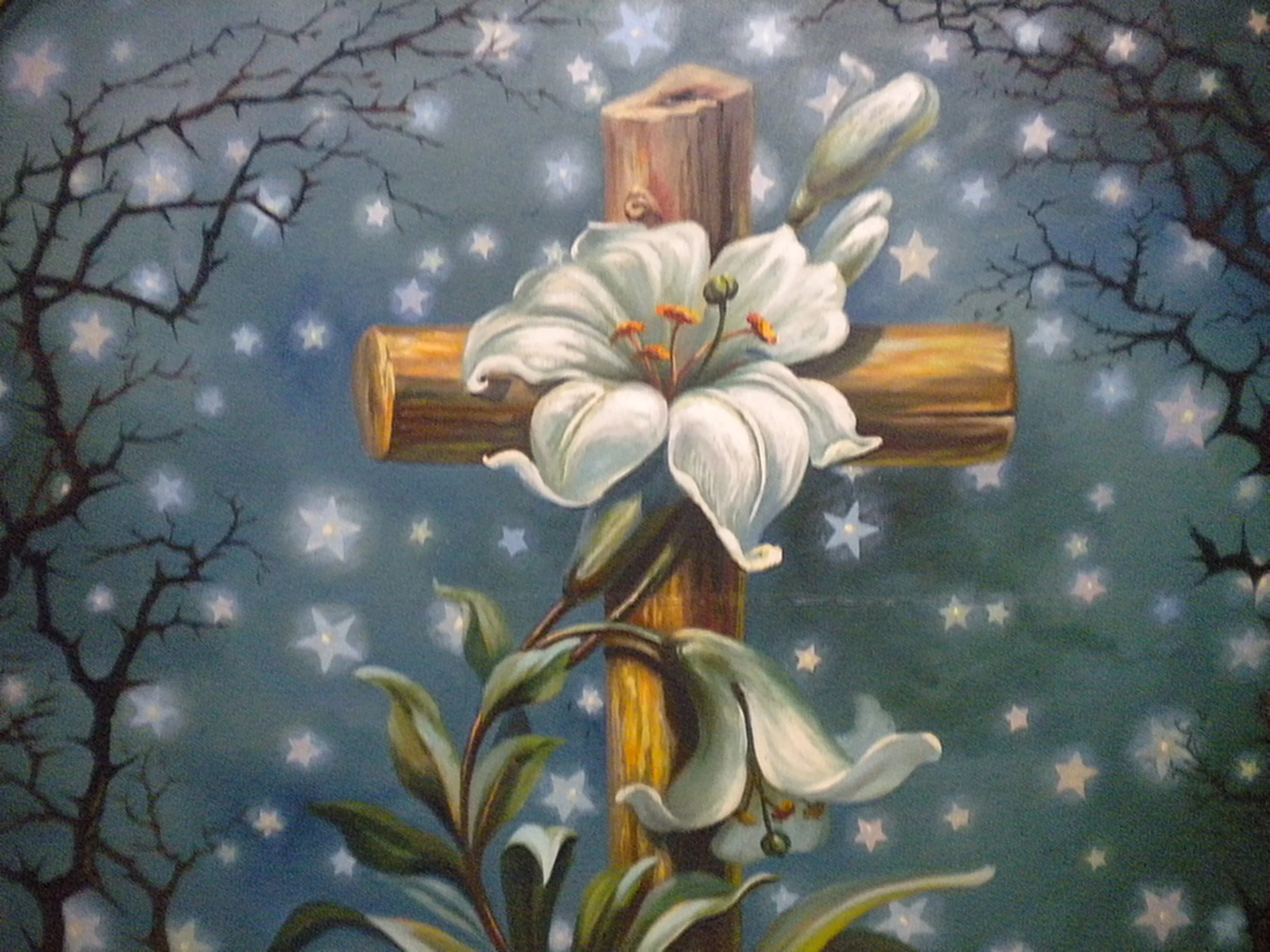 Sacred Texts to Sacred Earth