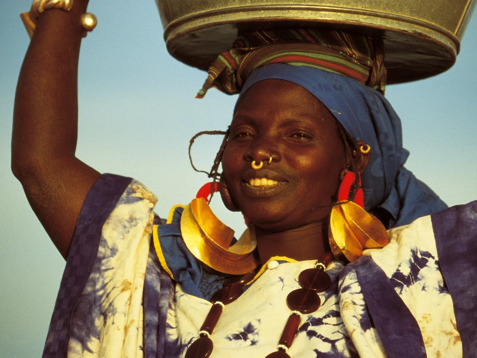 The Quiet Power That Regenerates a Continent