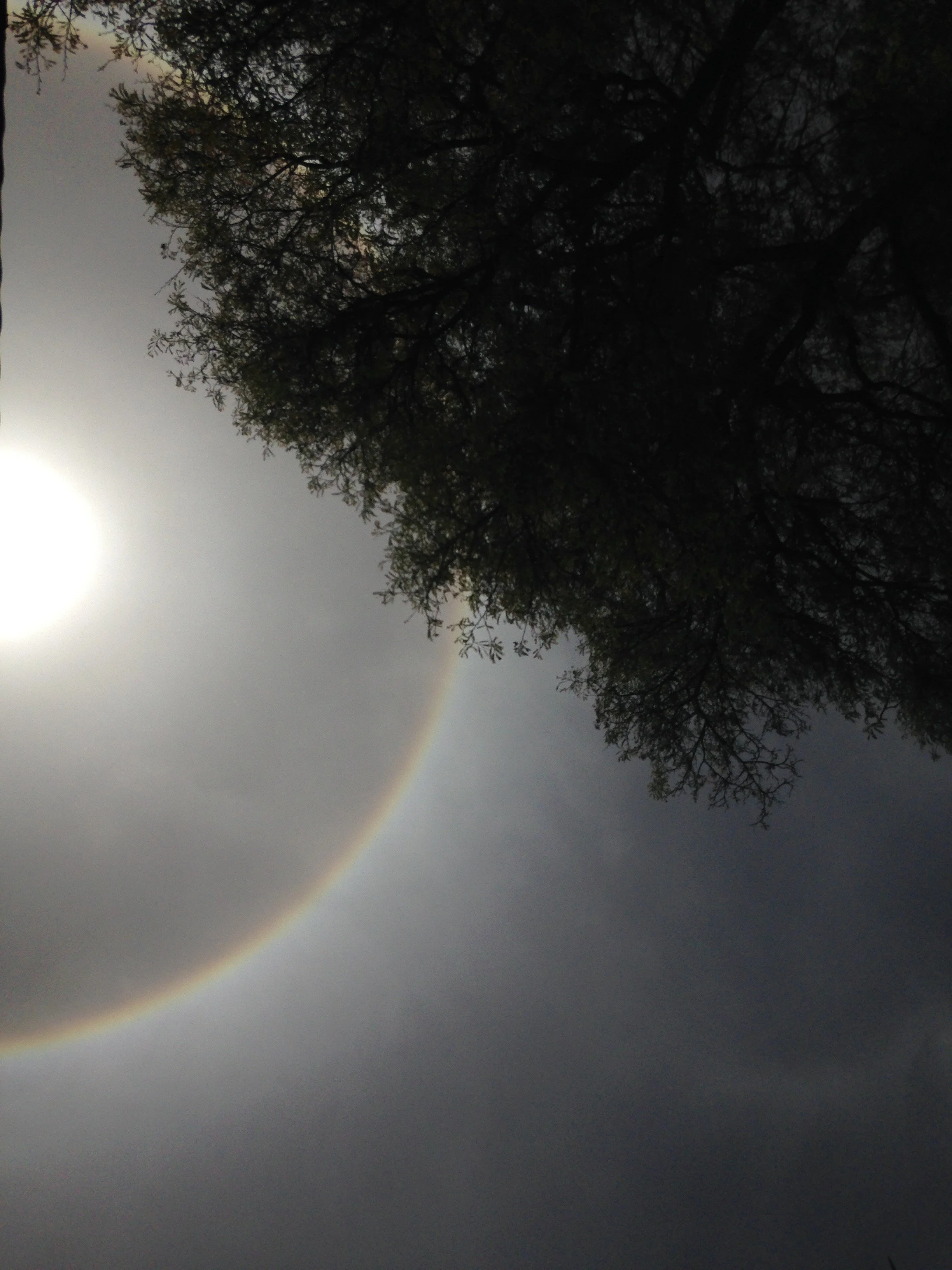 The Sun