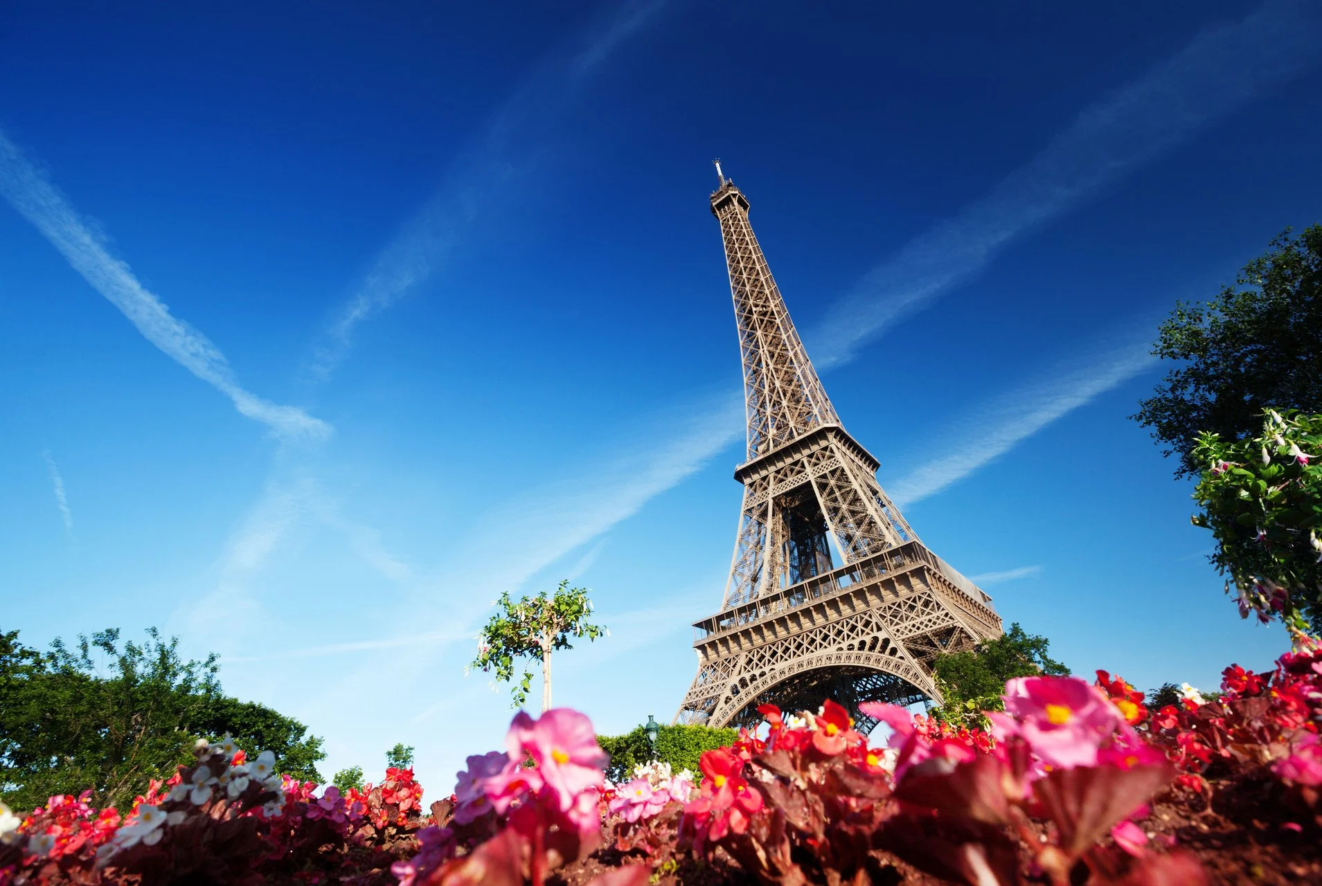 IBAEM Face to Face, Continuum (PYP+MYP+DP+CP), Paris France 17th - 19th April 2026 