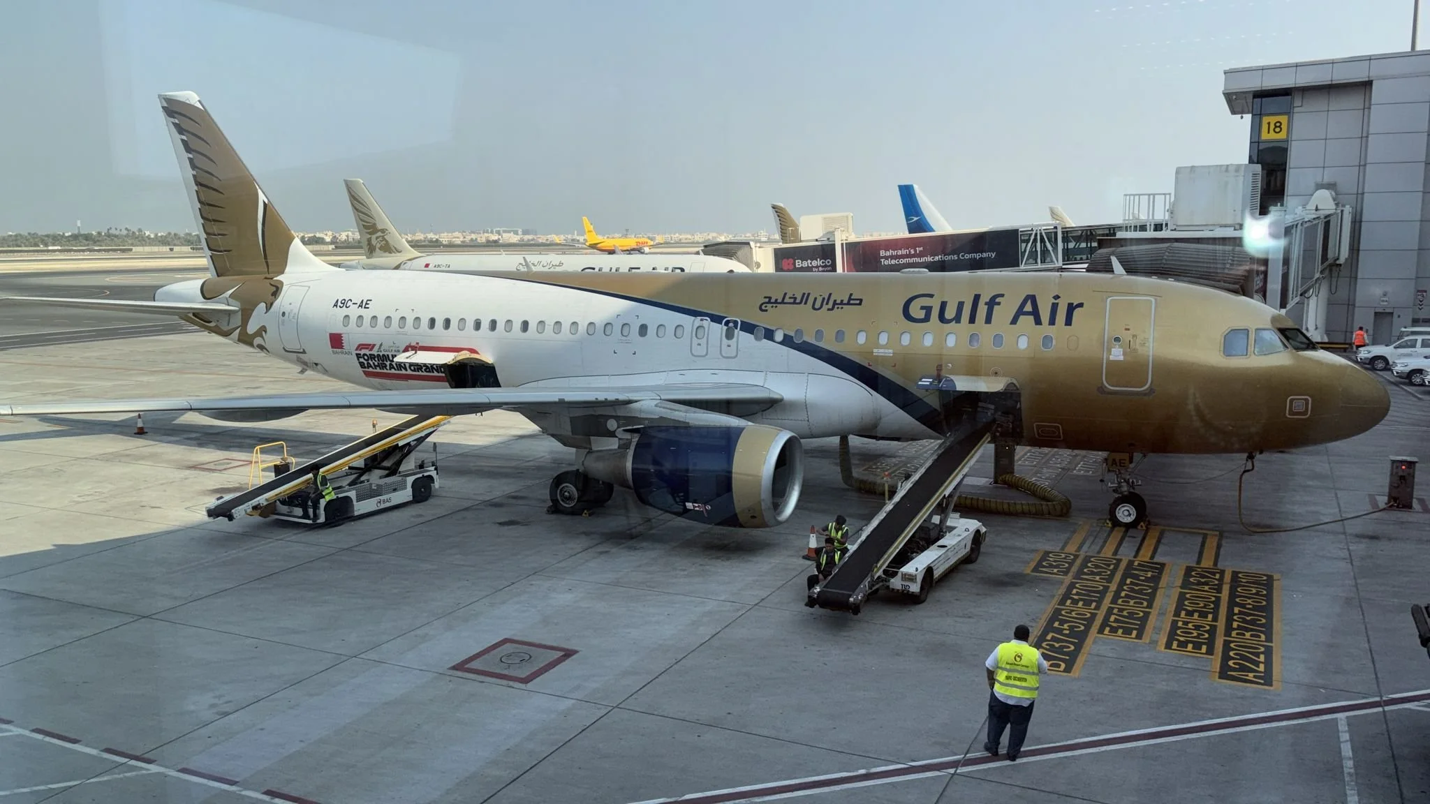 Working as a Field Representative for the IB in Qatar