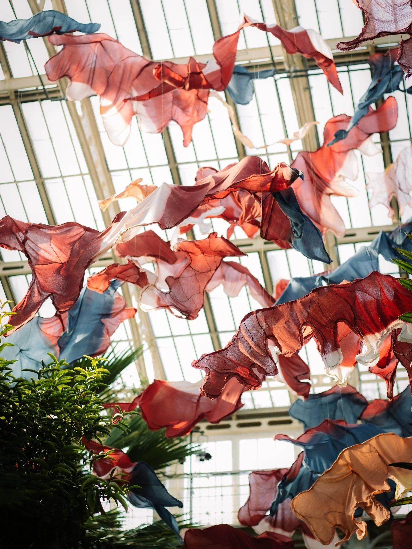 Kew Gardens October 2025 ~ a gorgeous day with family that started off cold and Autumnal but ended up sunny and warm. Here are some of my favourite shots, with 35mm still to be developed. 

#ukphotographer #kewgardens #weddingphotographer #londonphot