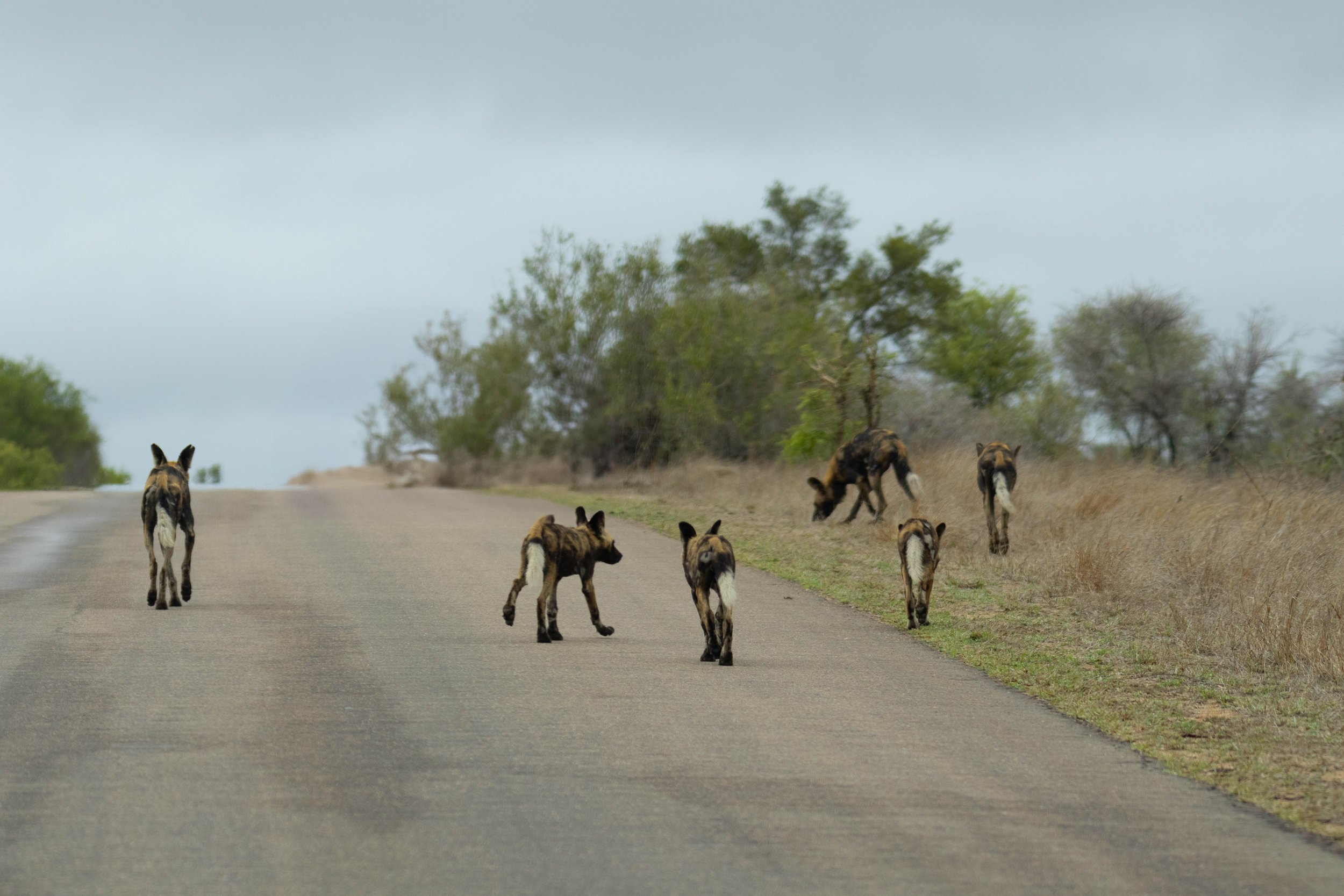 Manne Naweek-4800.jpg