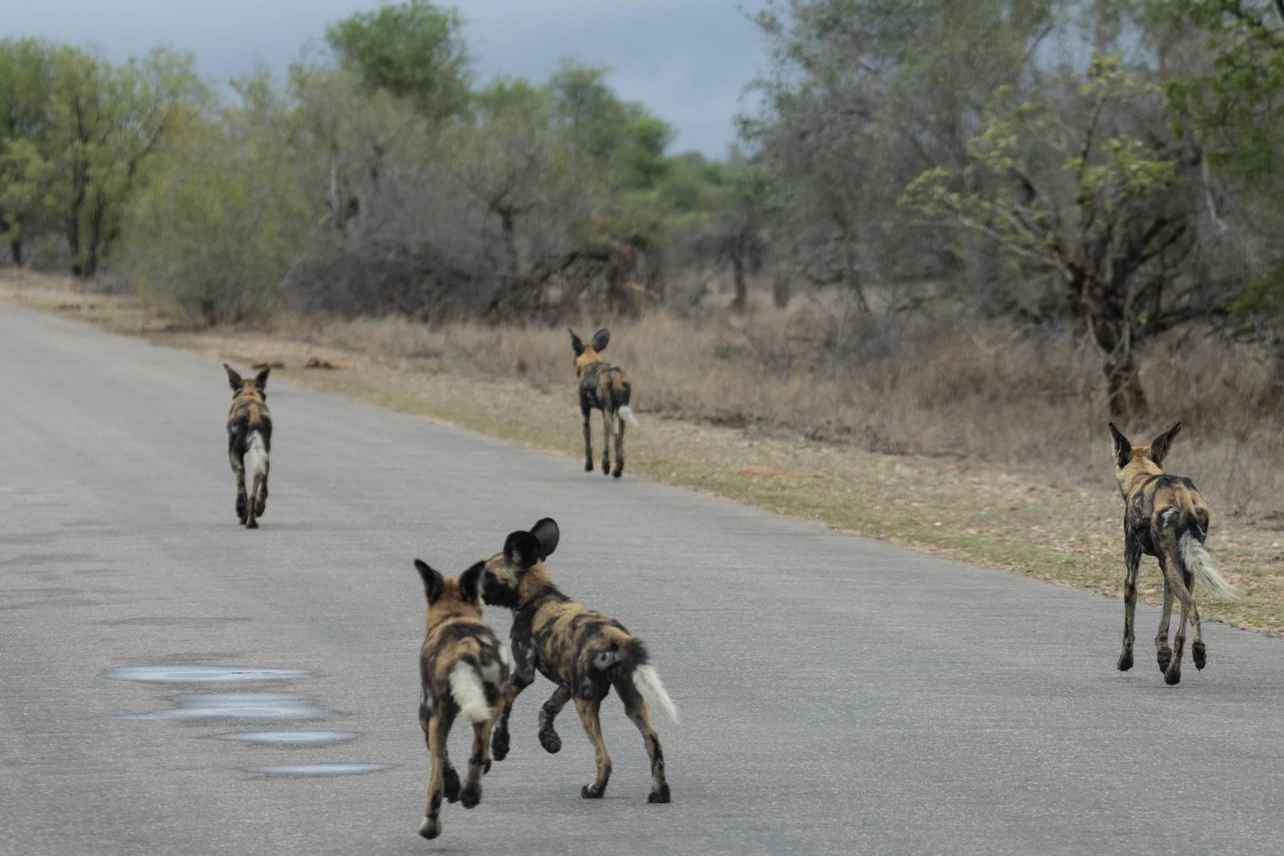 Manne Naweek-4880.jpg