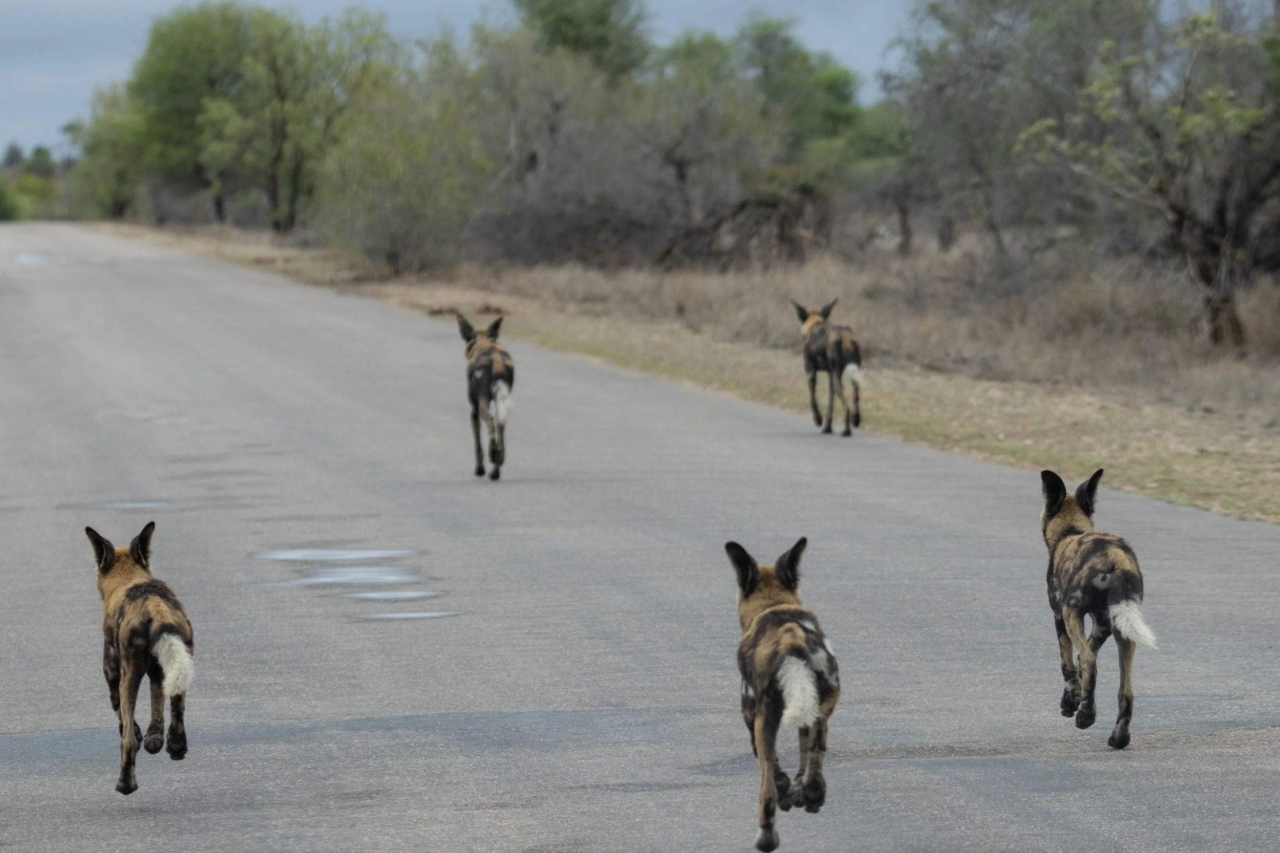 Manne Naweek-4879.jpg