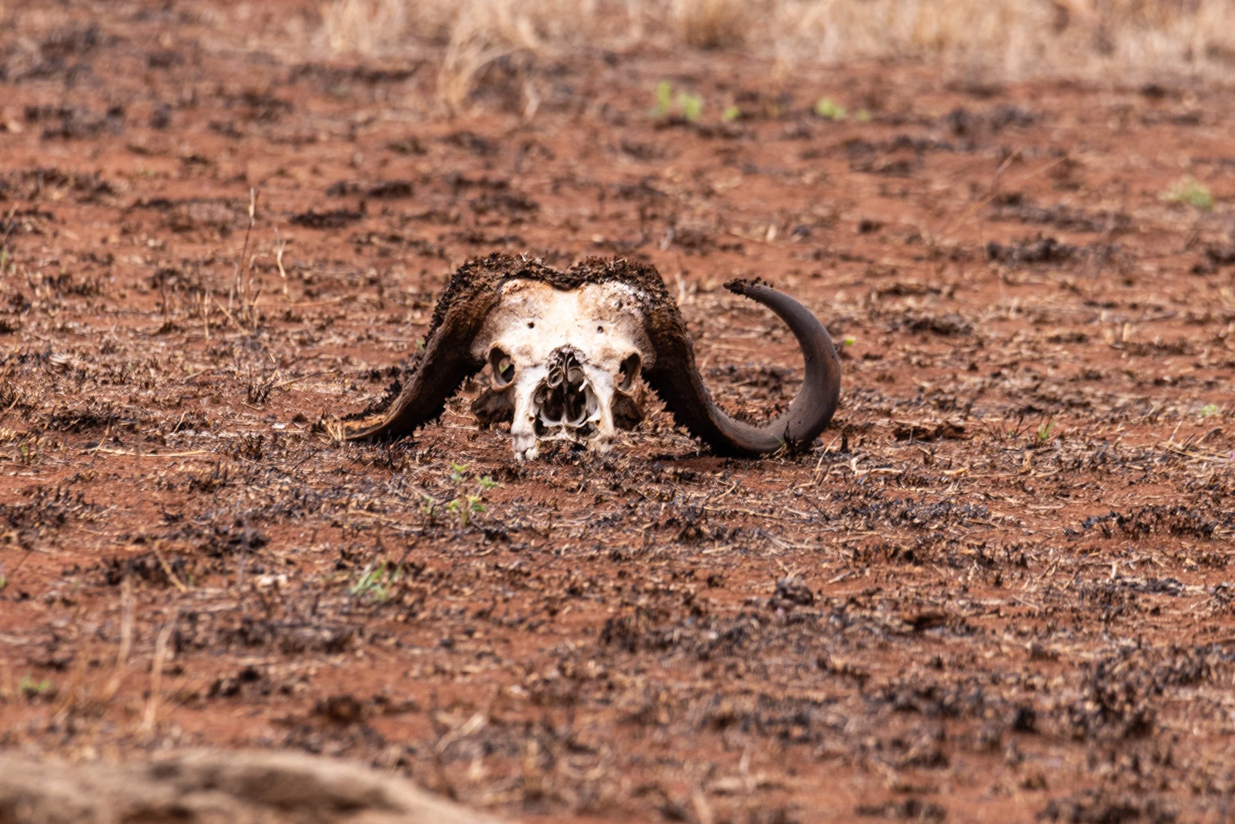 Manne Naweek-4687.jpg