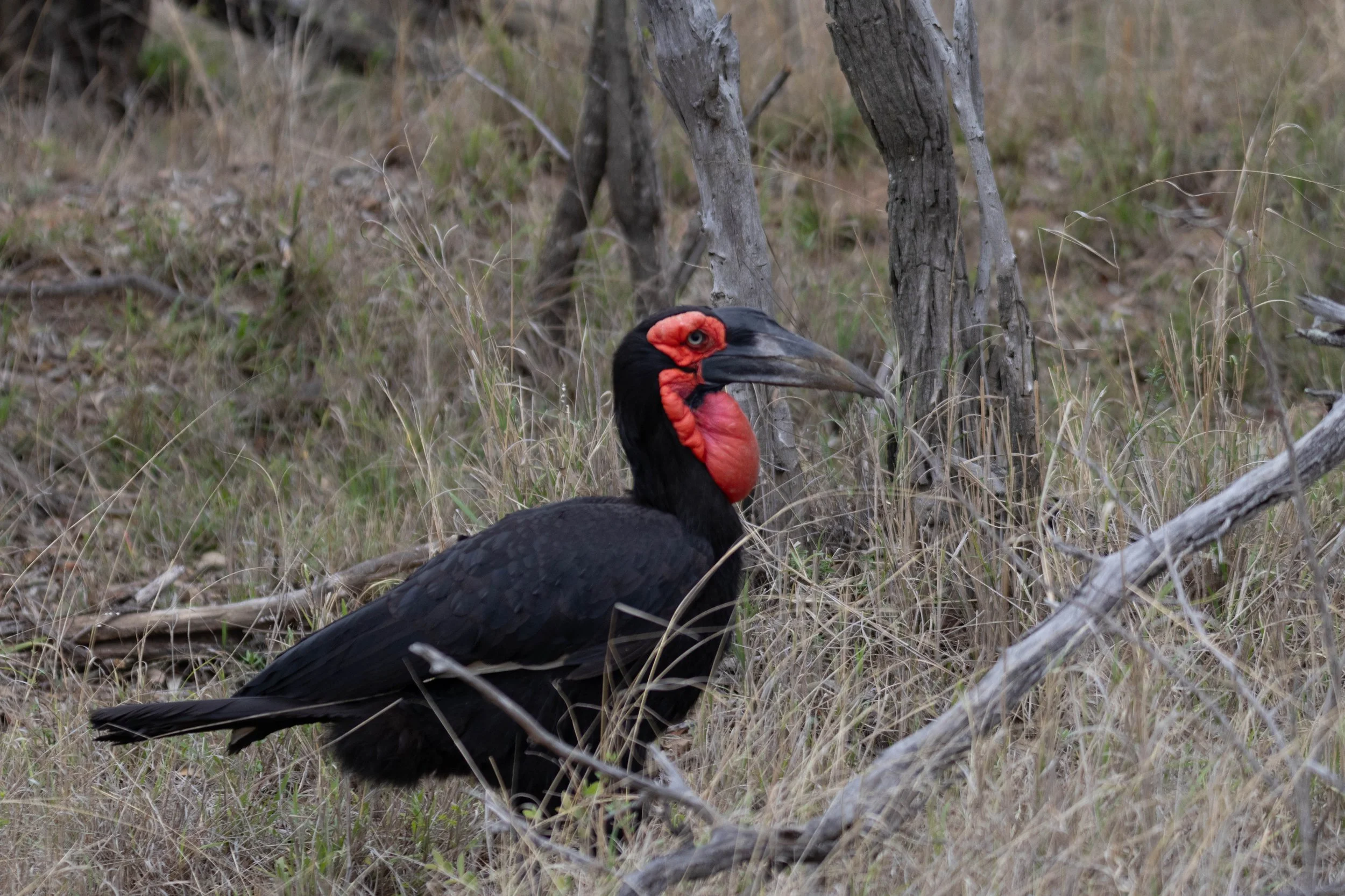 Manne Naweek-4435.jpg