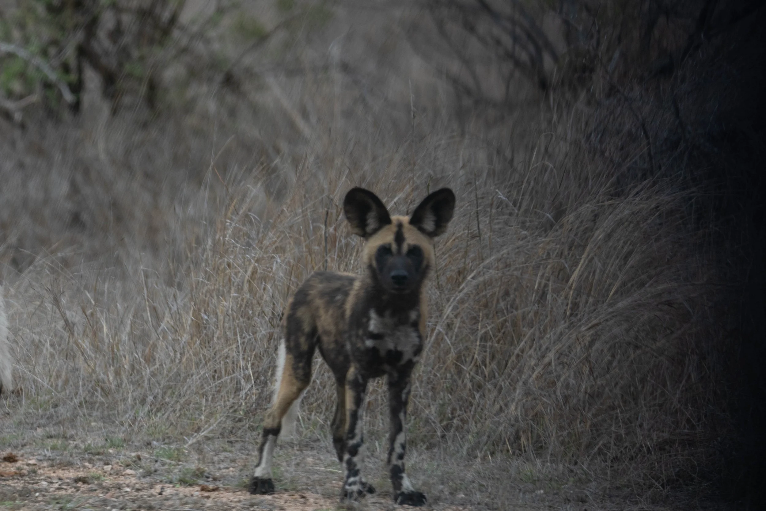 Manne Naweek-4818.jpg