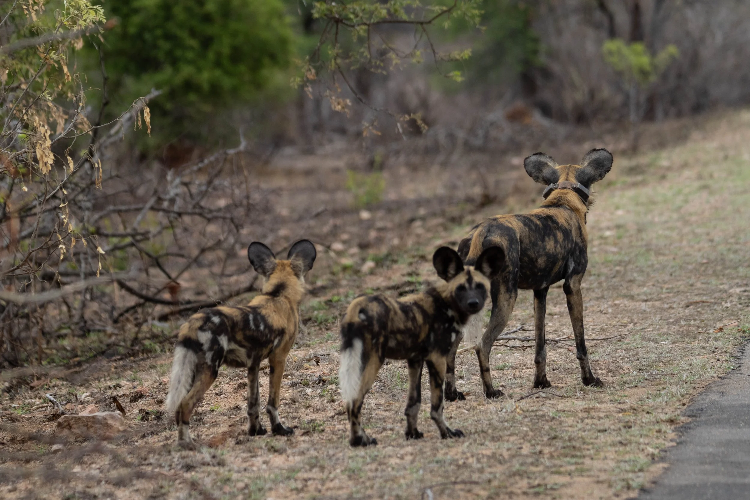 Manne Naweek-4837.jpg