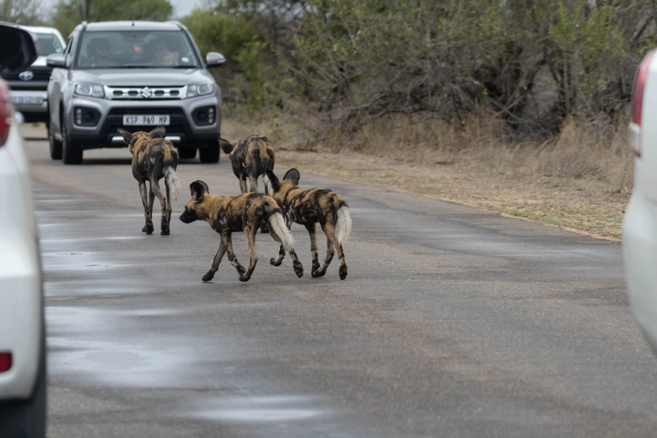Manne Naweek-4825.jpg
