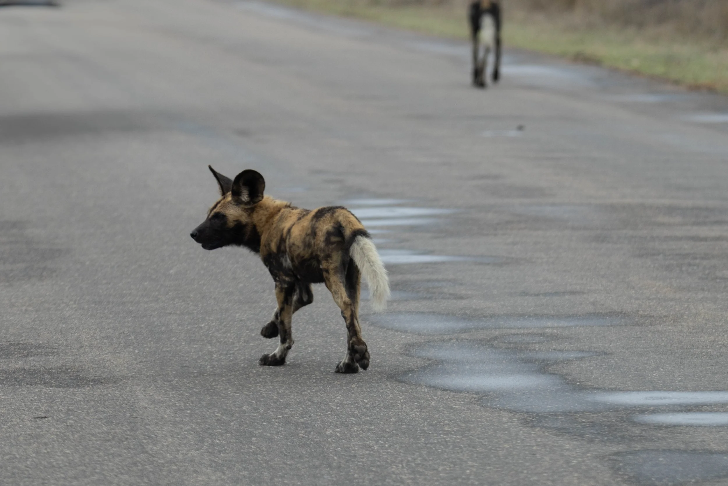 Manne Naweek-4859.jpg