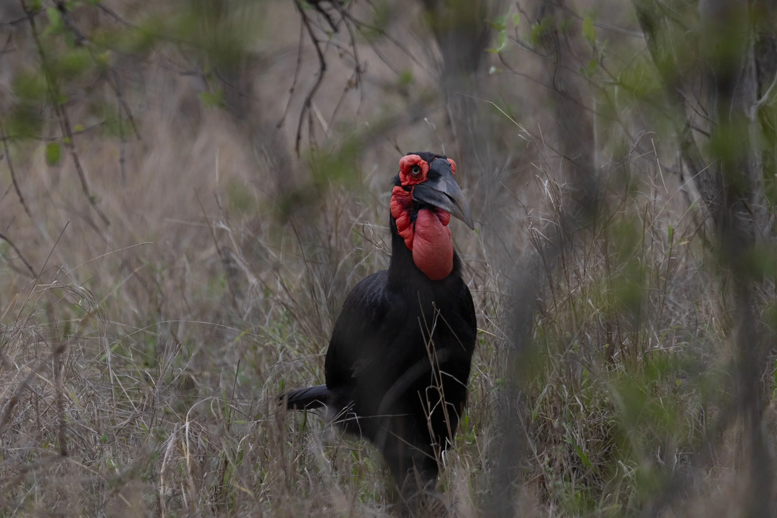 Manne Naweek-4430.jpg