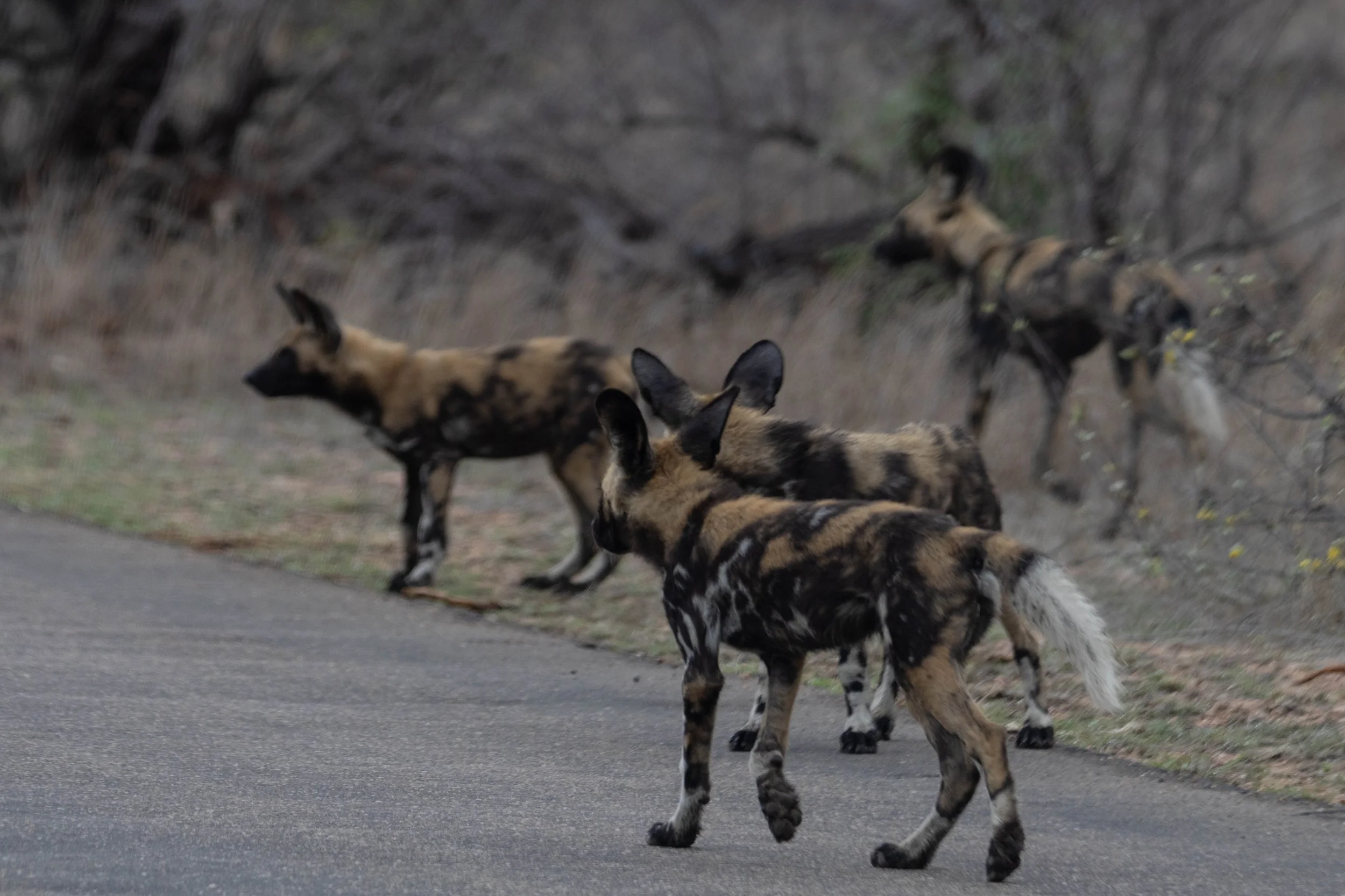 Manne Naweek-4855.jpg