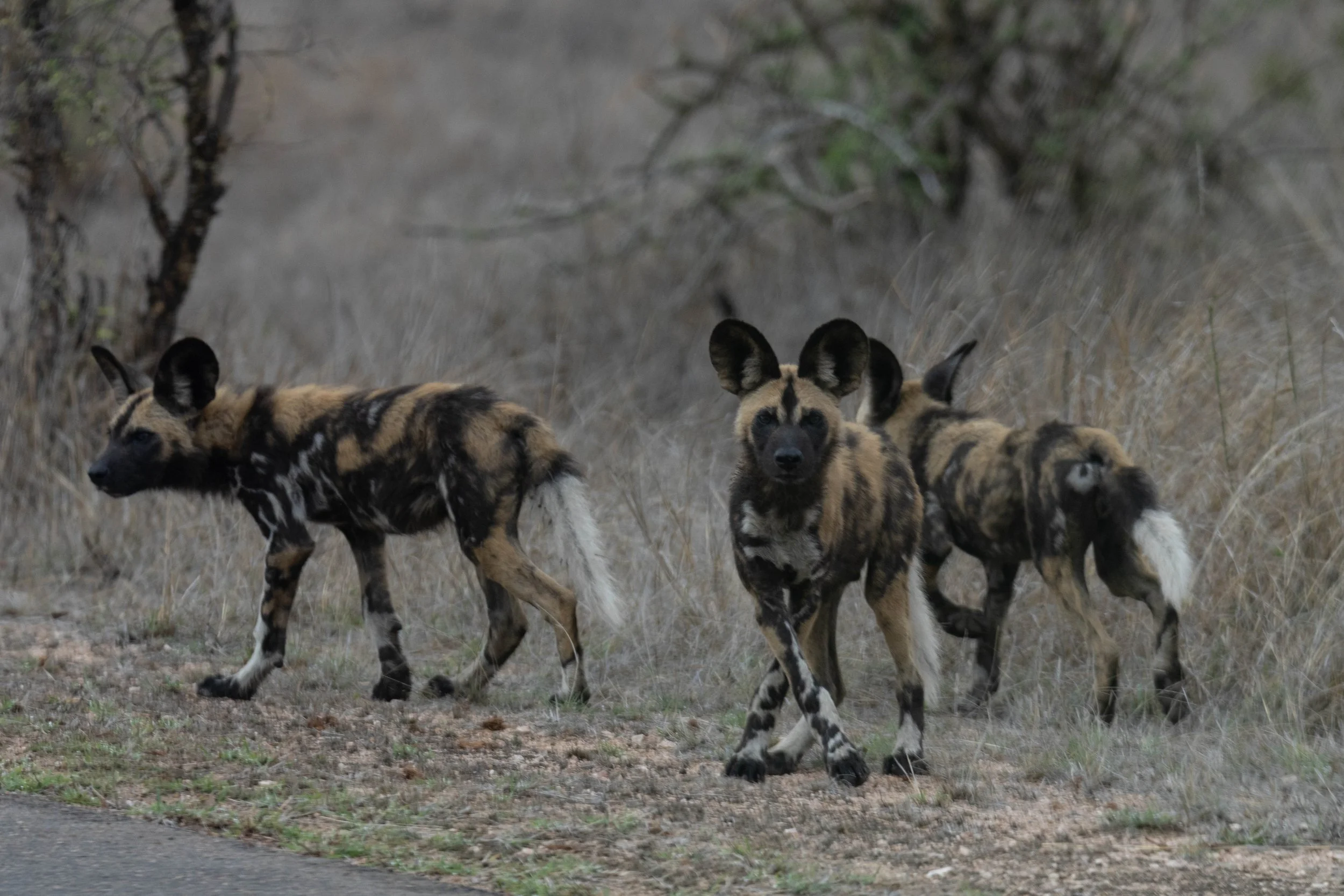 Manne Naweek-4817.jpg