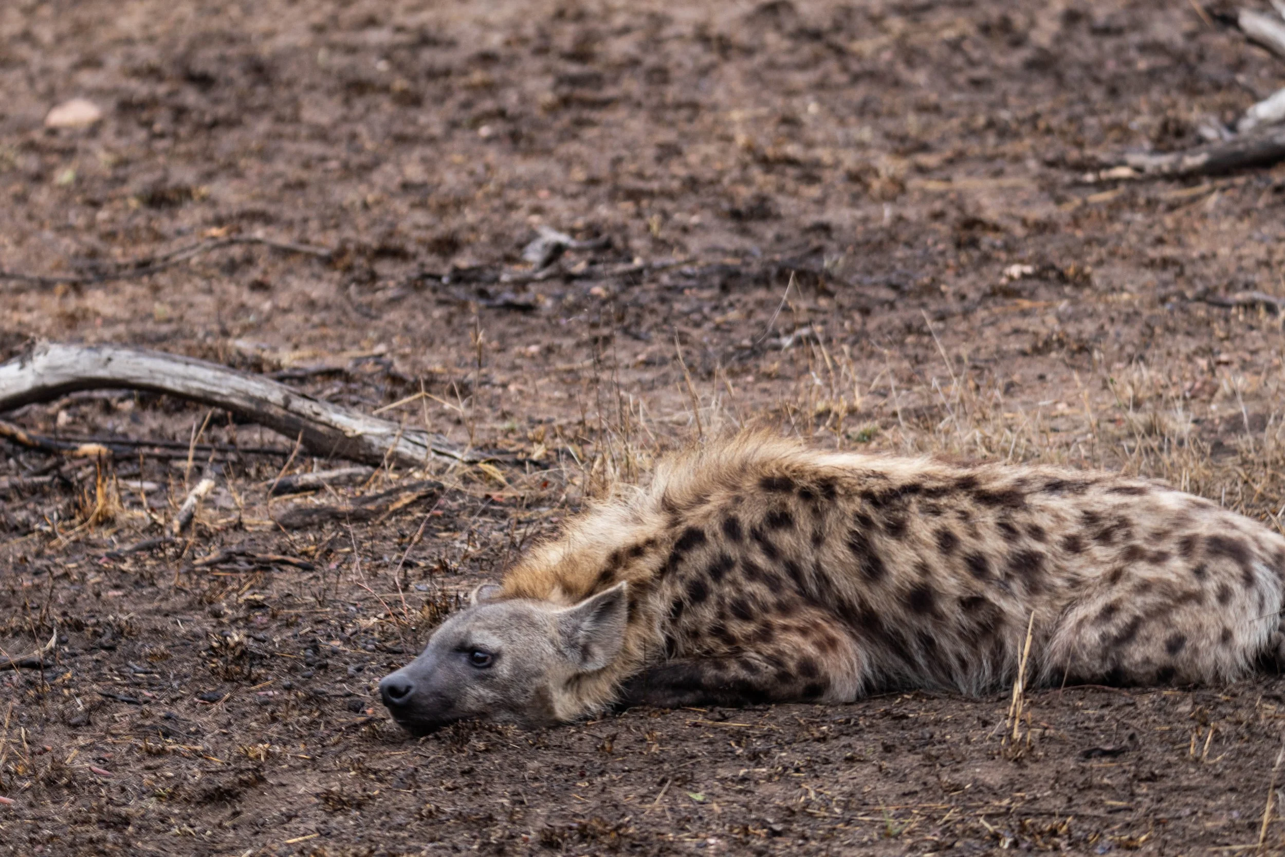 Manne Naweek-4767.jpg