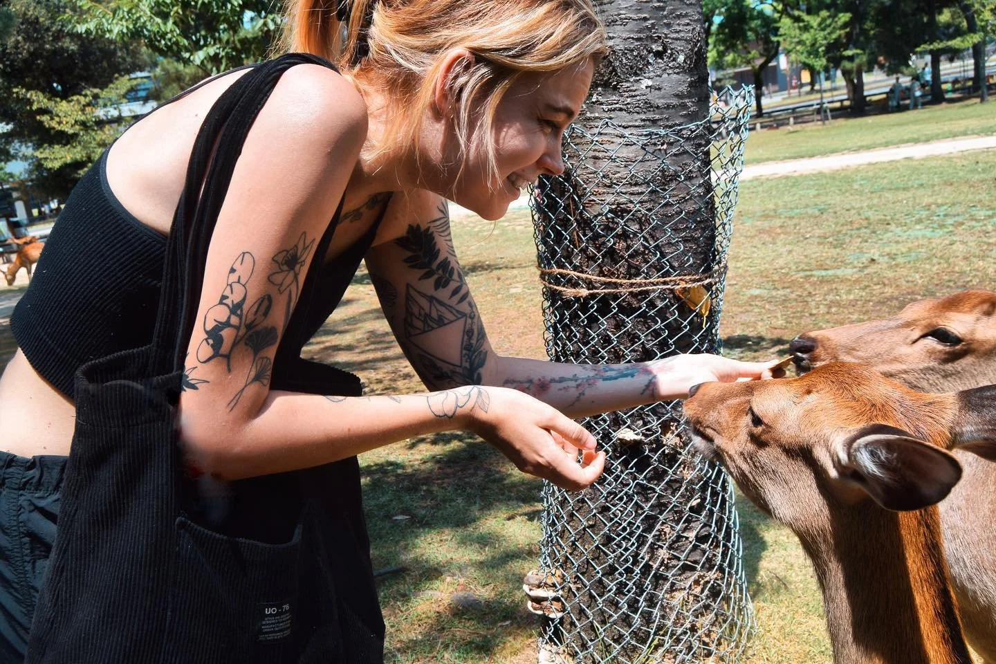 find yourself someone who looks at you like these deer look at their deer crackers 

swipe right for more bits of Nara, Kyoto and all the way right for a bonus cutest deer 🦌
