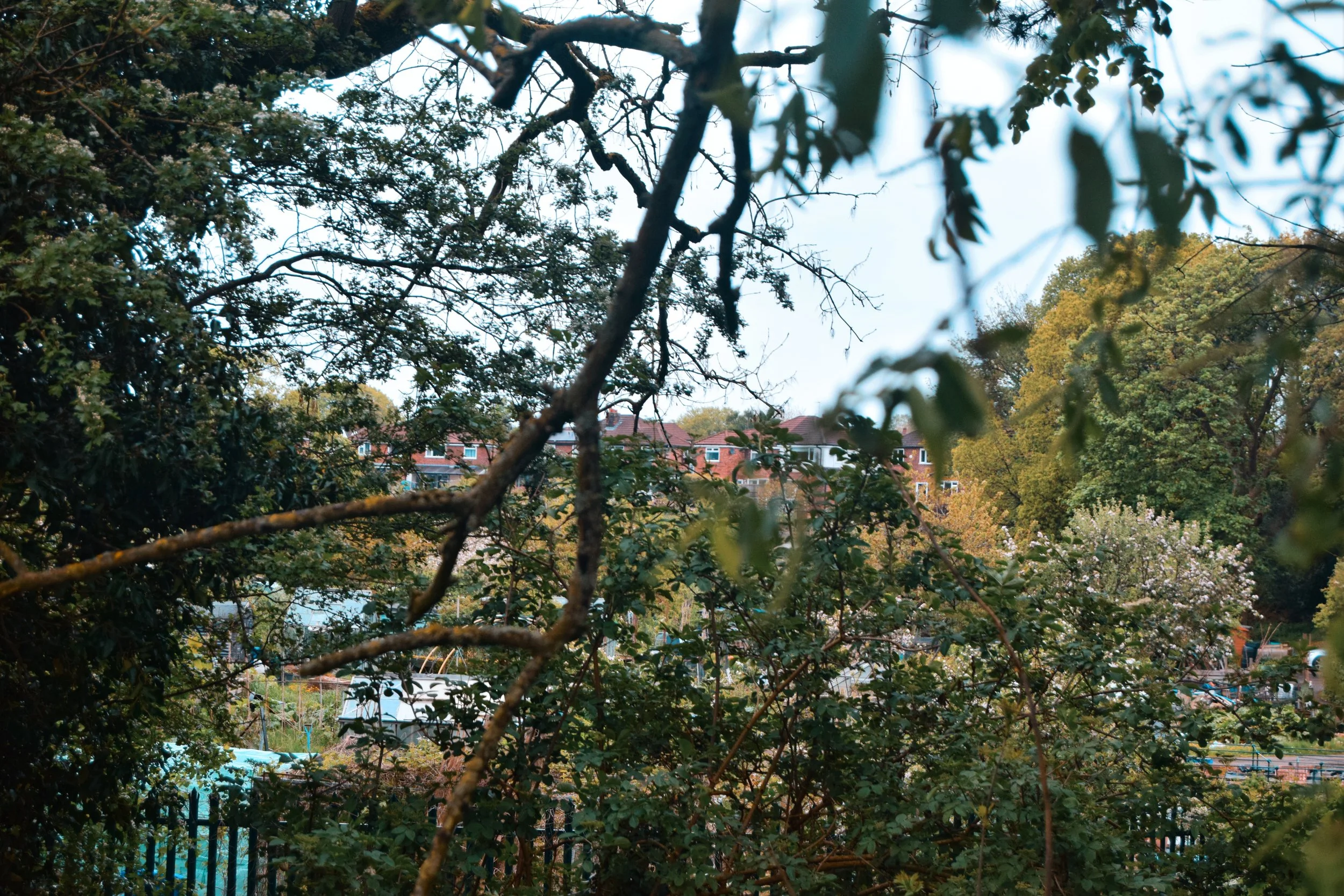 84.jpg
