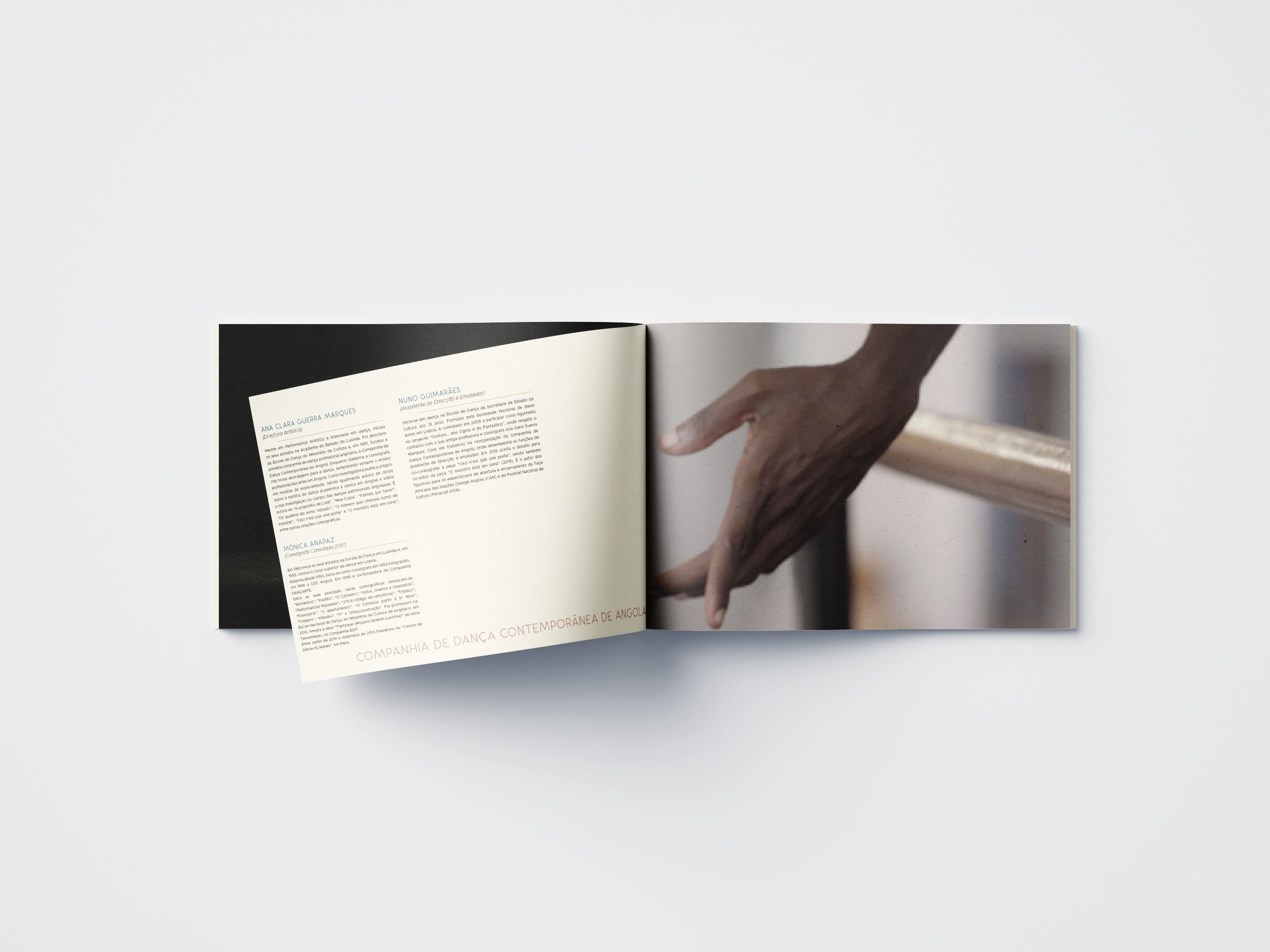 BROCHURE_PLDMP_MOCK_1.png