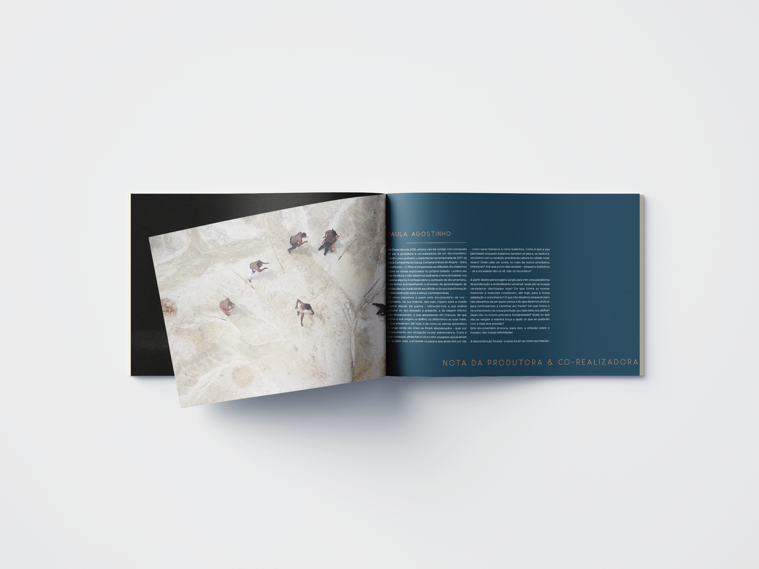 BROCHURE_PLDMP_MOCK_3.png