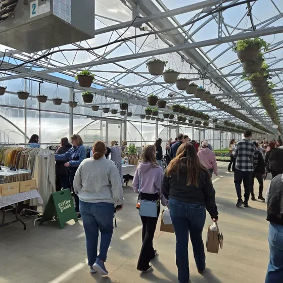 Groovy Fine Art Fair