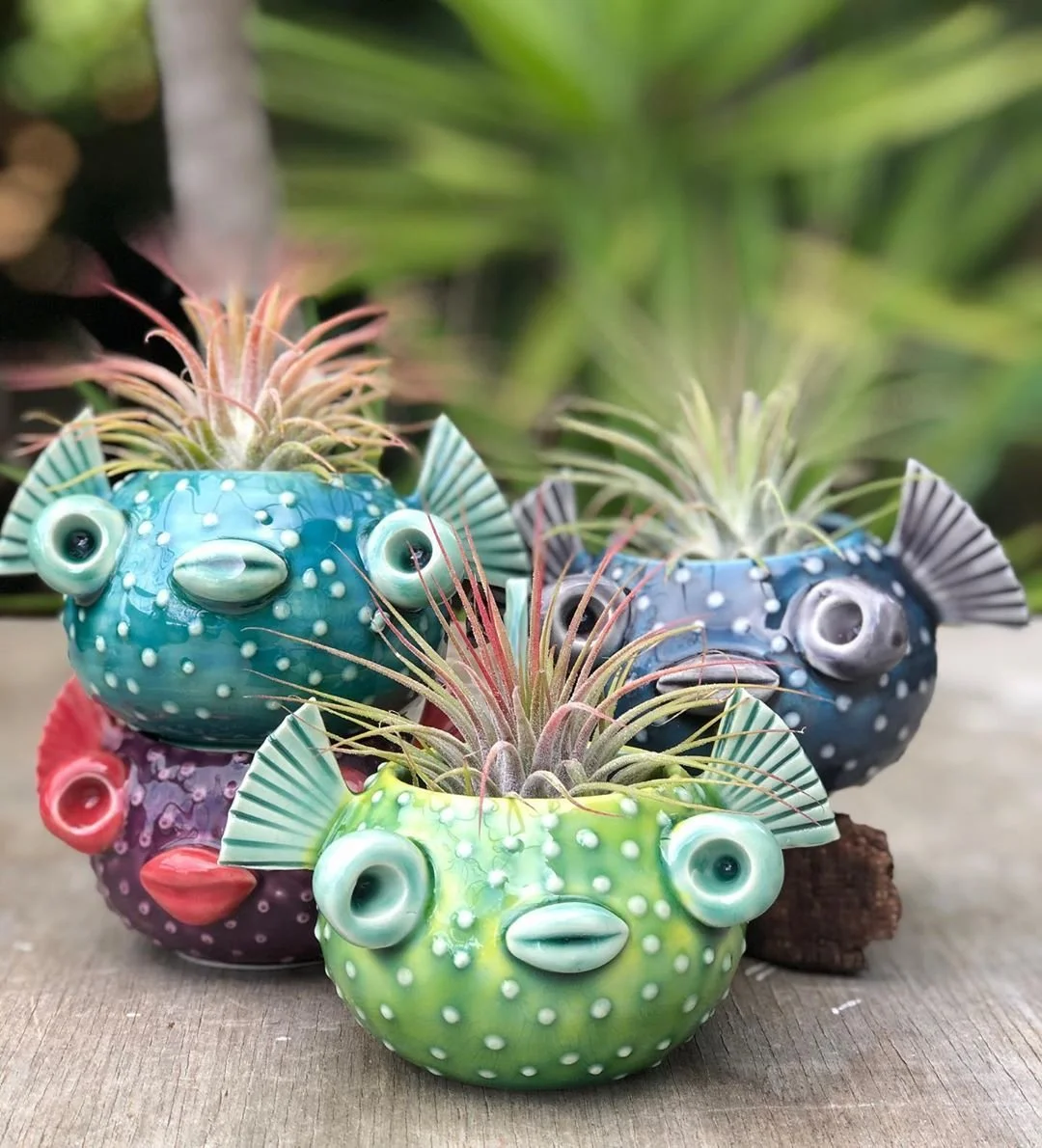 Pufferfish Planter June 10 10 AM to 11 AM