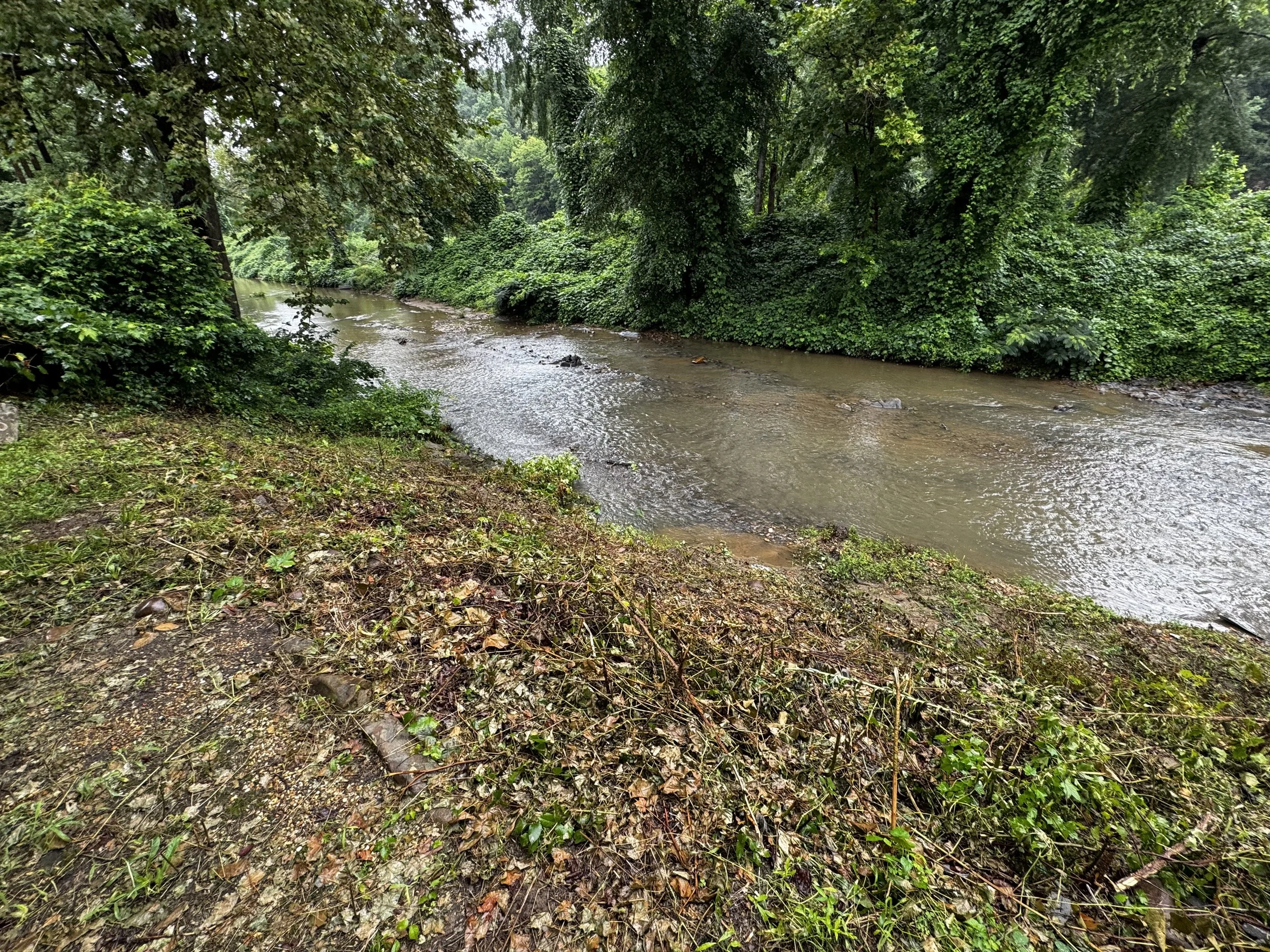 River in Front of Rick's House