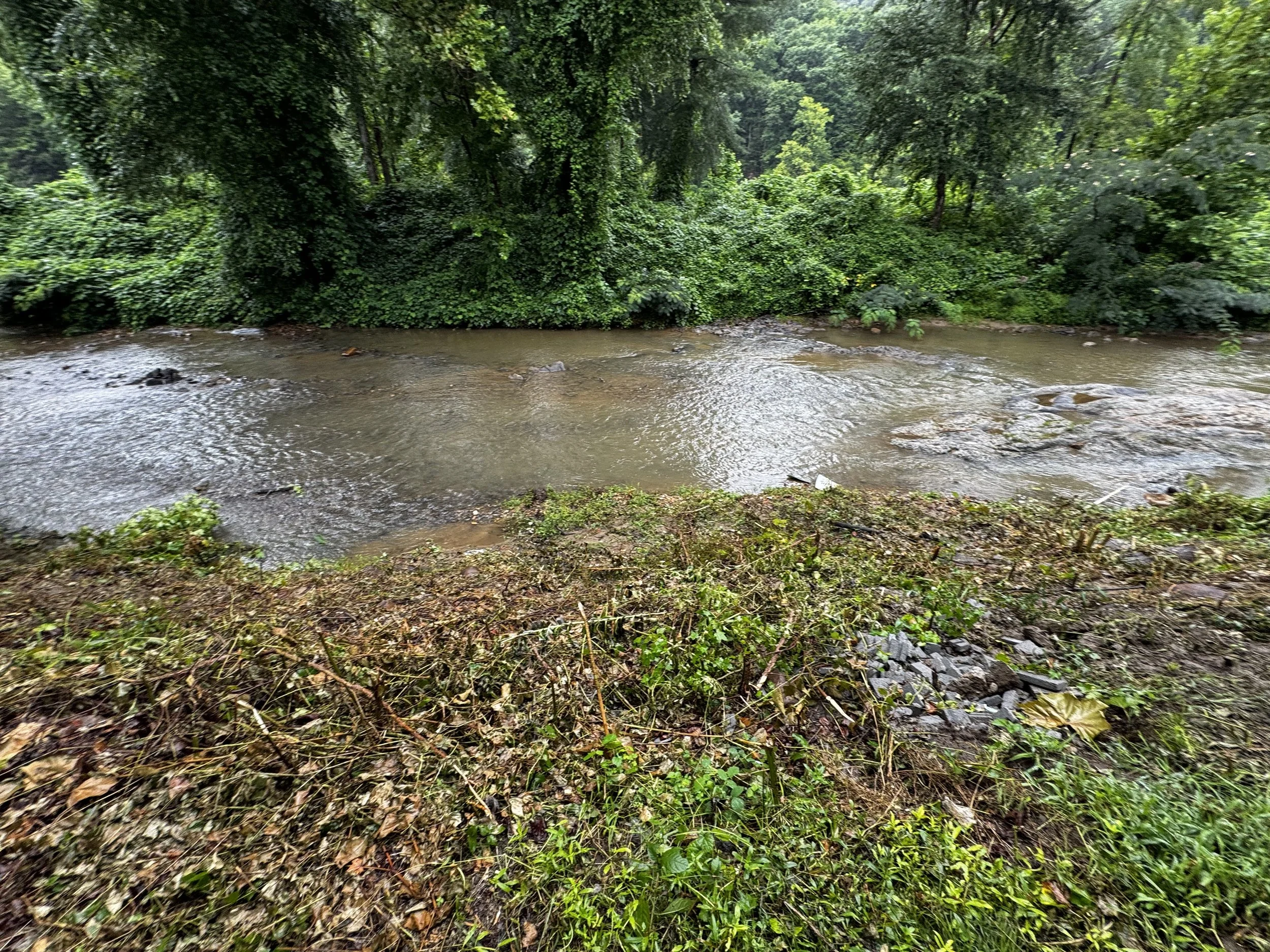 River in Front of Rick's House