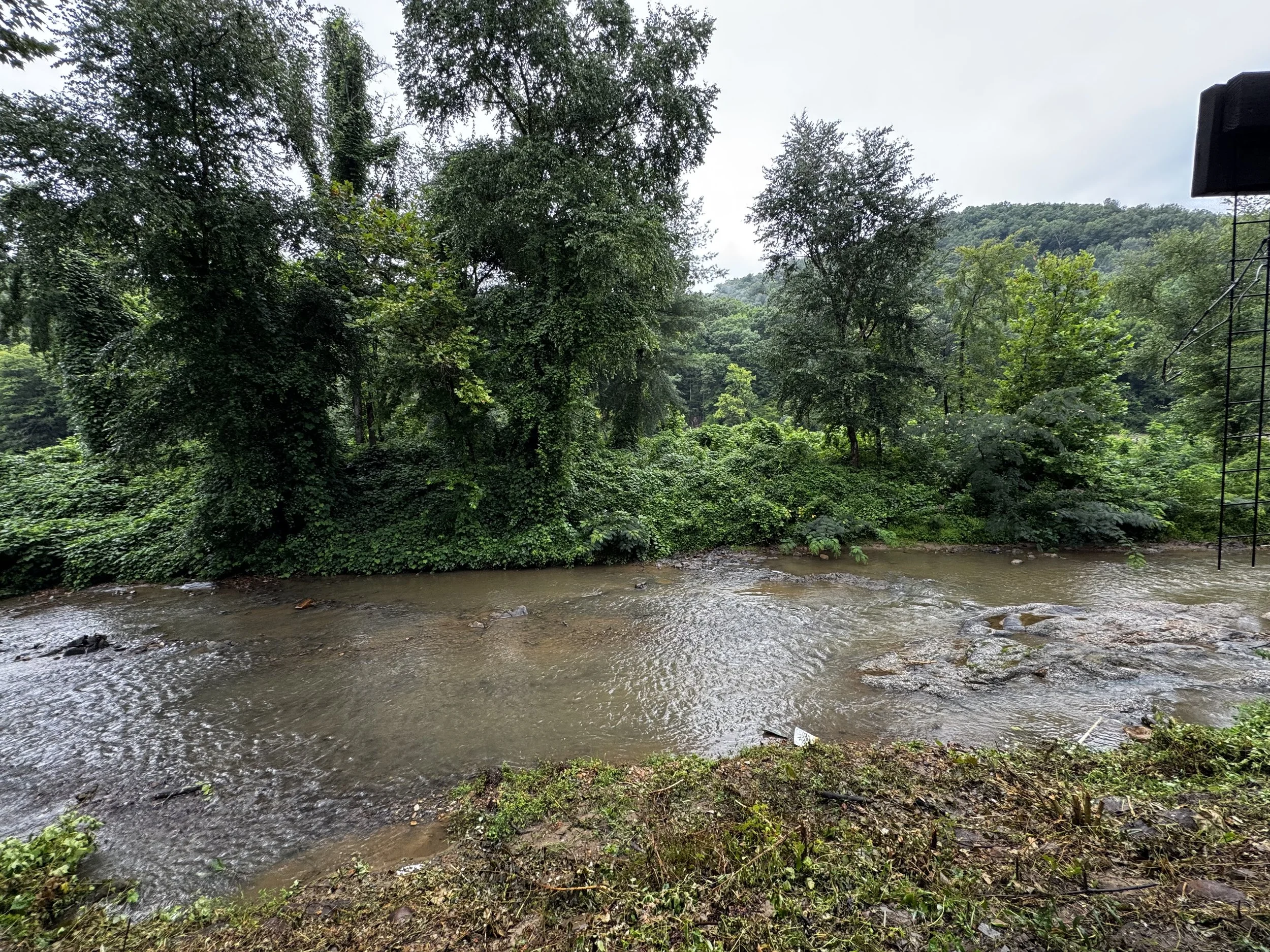 River in Front of Rick's House