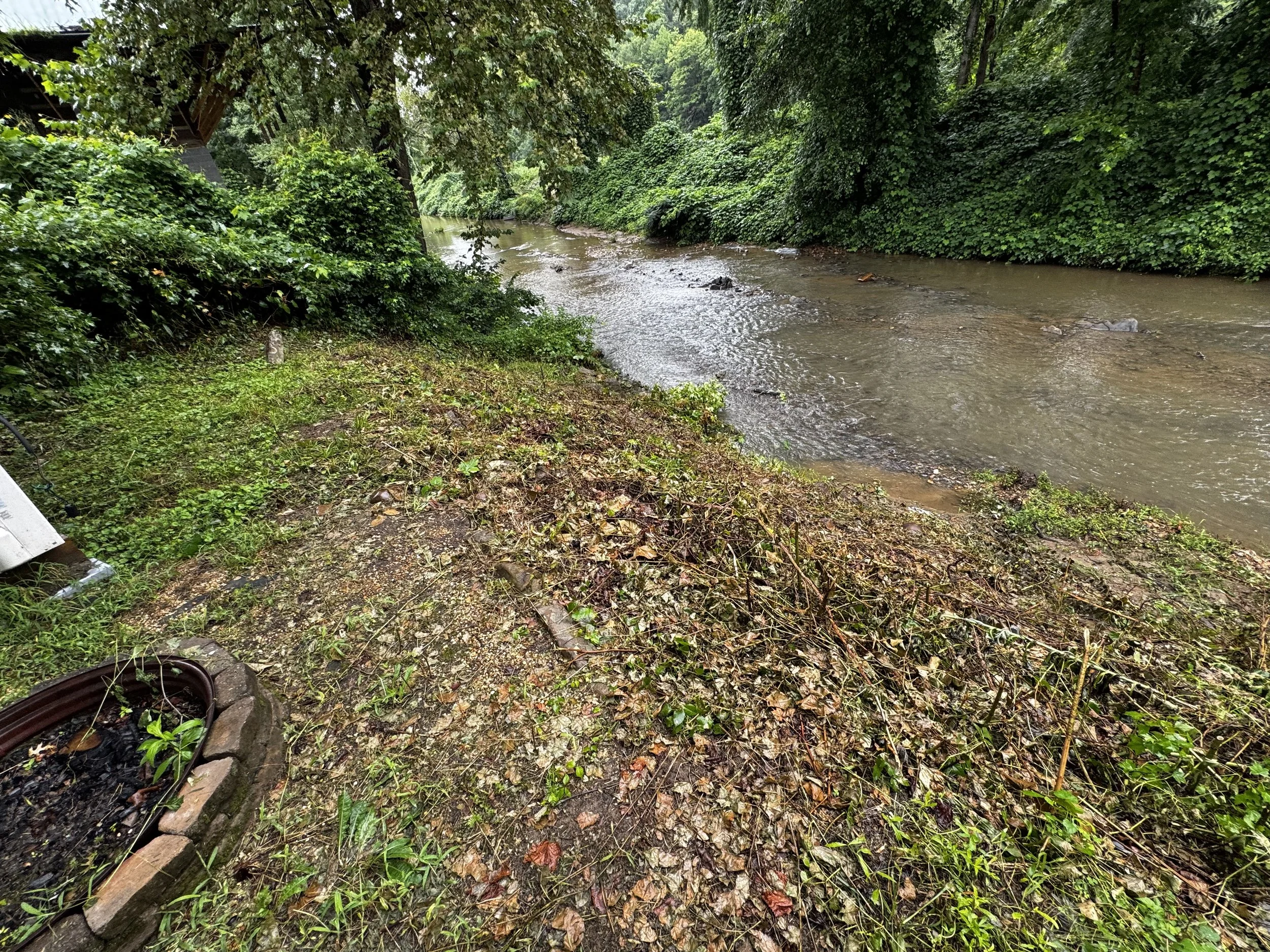 River in Front of Rick's House