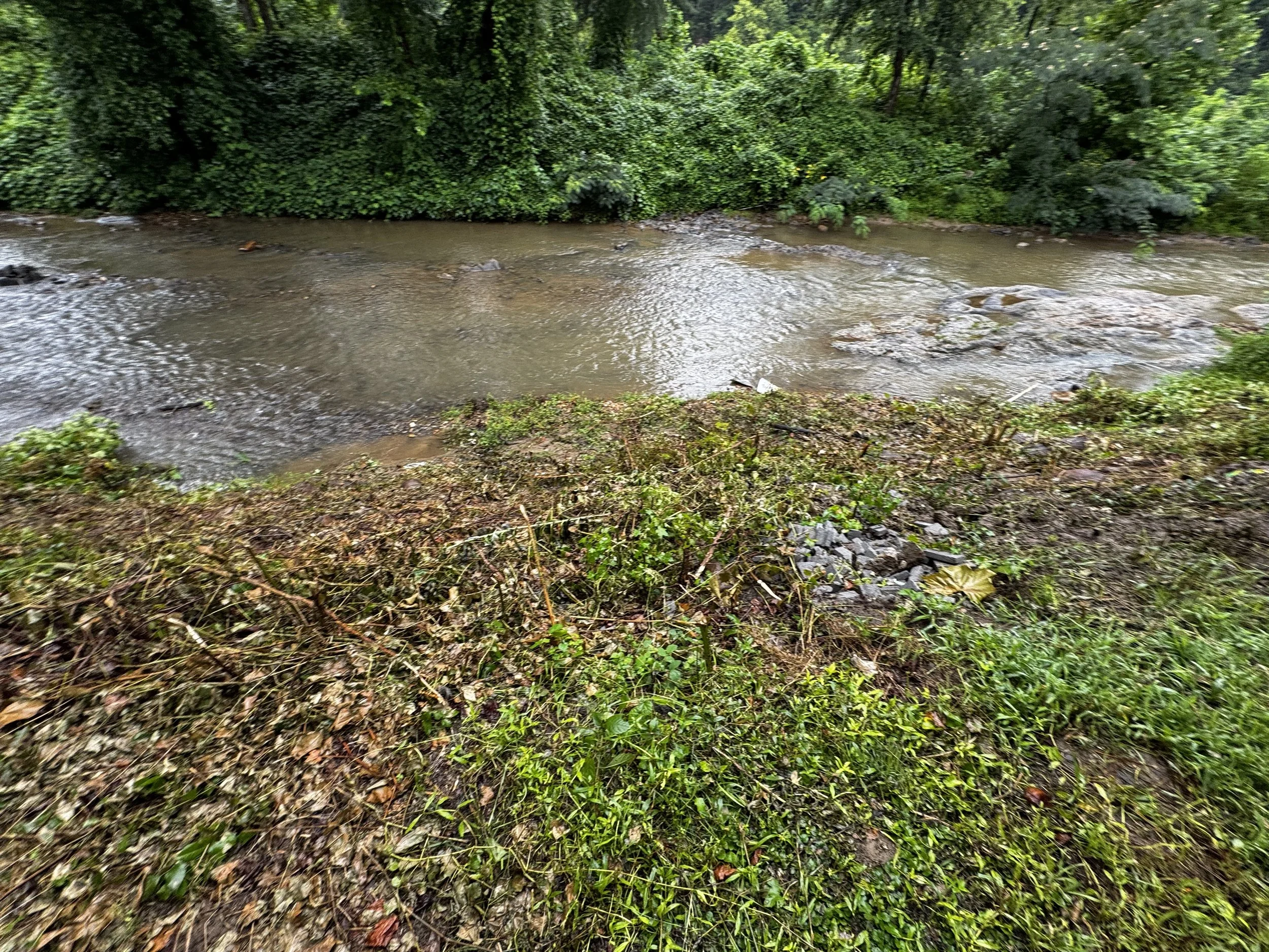 River in Front of Rick's House