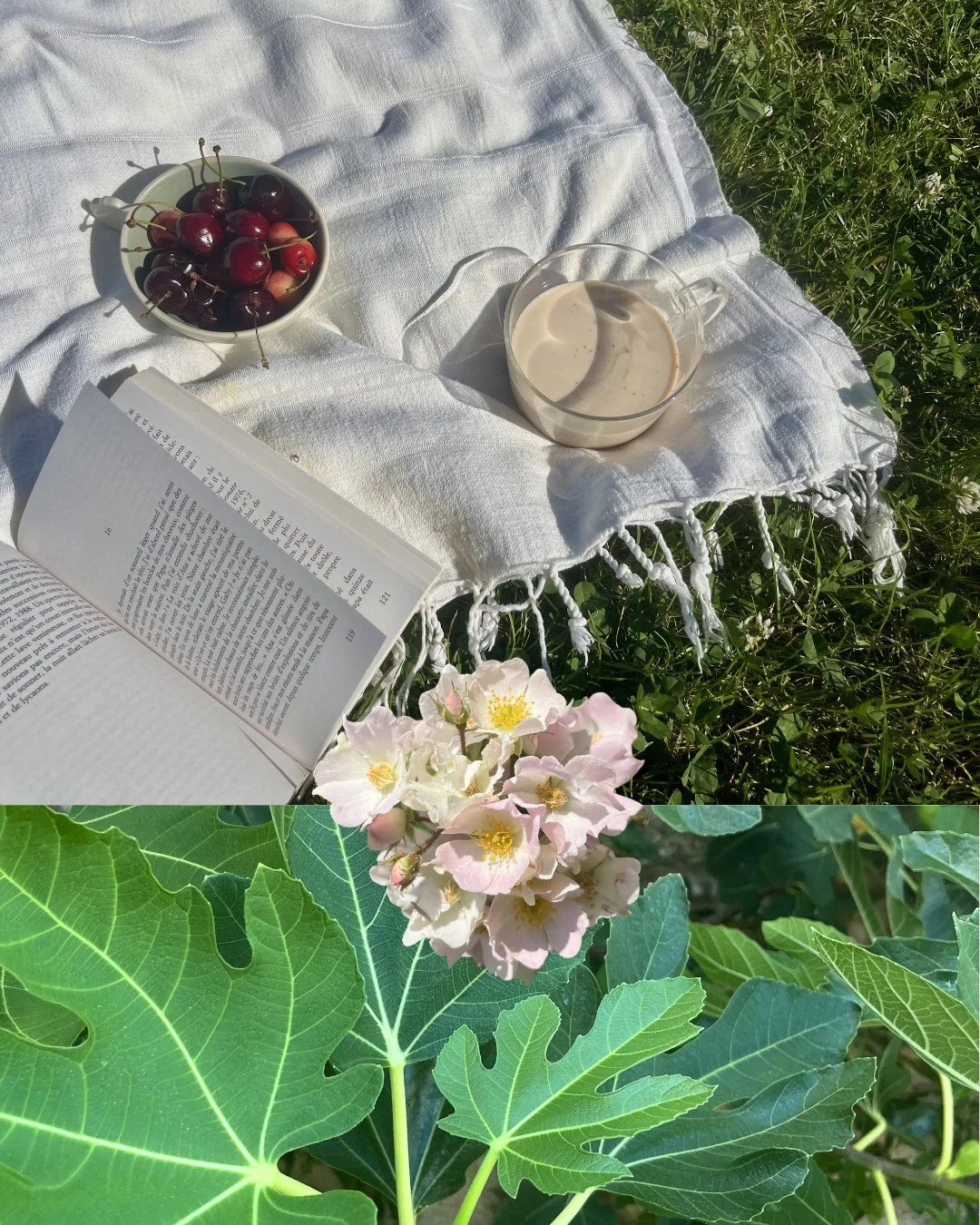Quelques clich&eacute;s Fugitive de ces derniers jours ! 
⁠
#fugitivechai #frenchcoffee #coffeeloversclub #dirtycha&iuml; #naturefrance #vacancesd&eacute;t&eacute; #summertimes