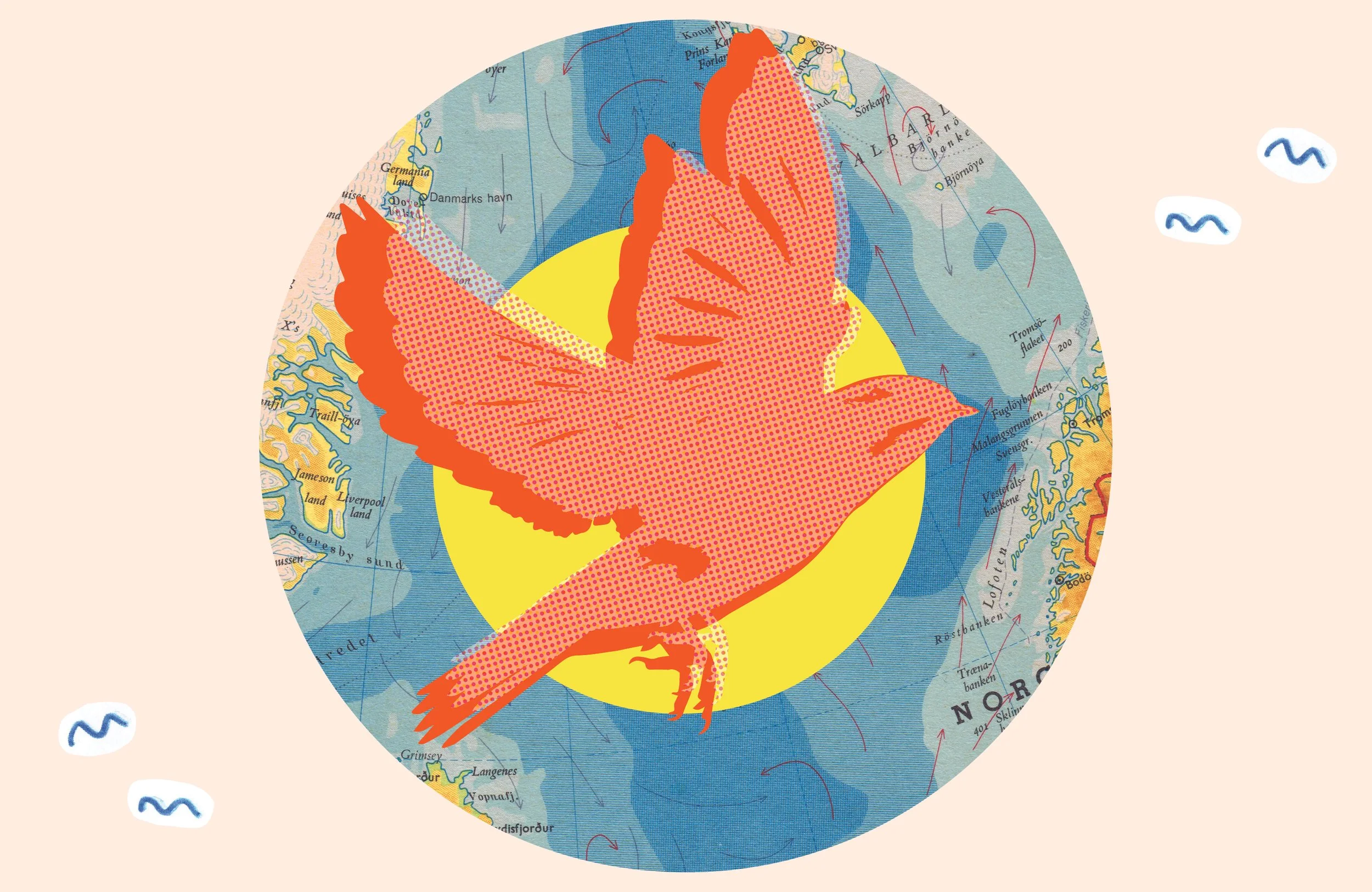 Sideblikk uke 24-01.jpg