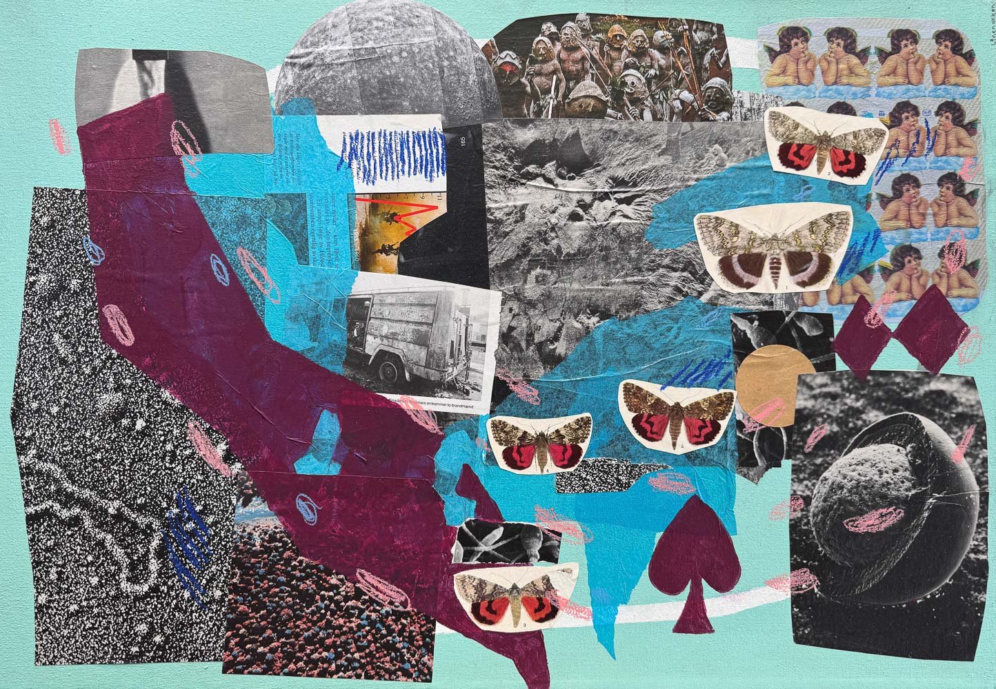 collage.JPG