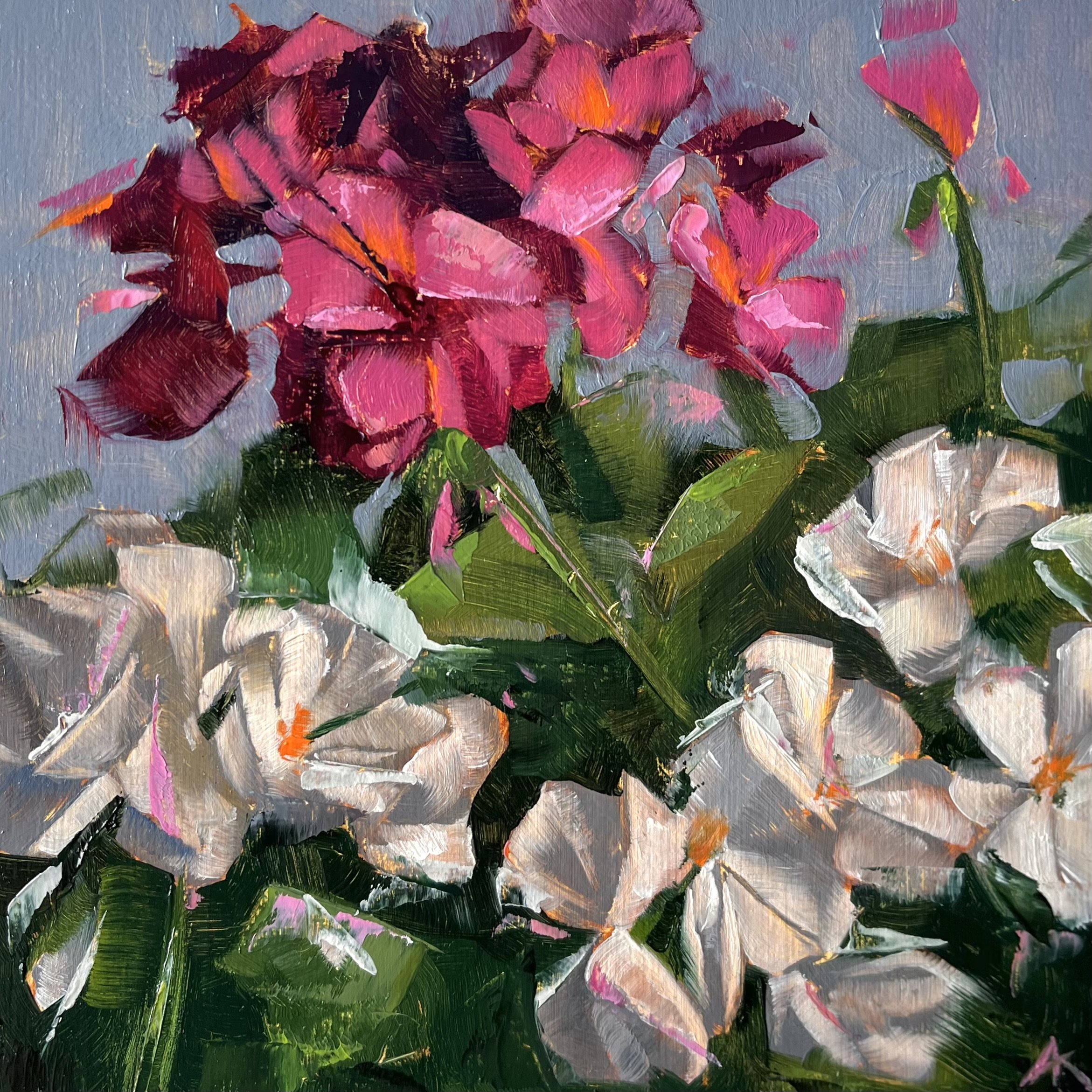 Geraniums - Original Oil Painting