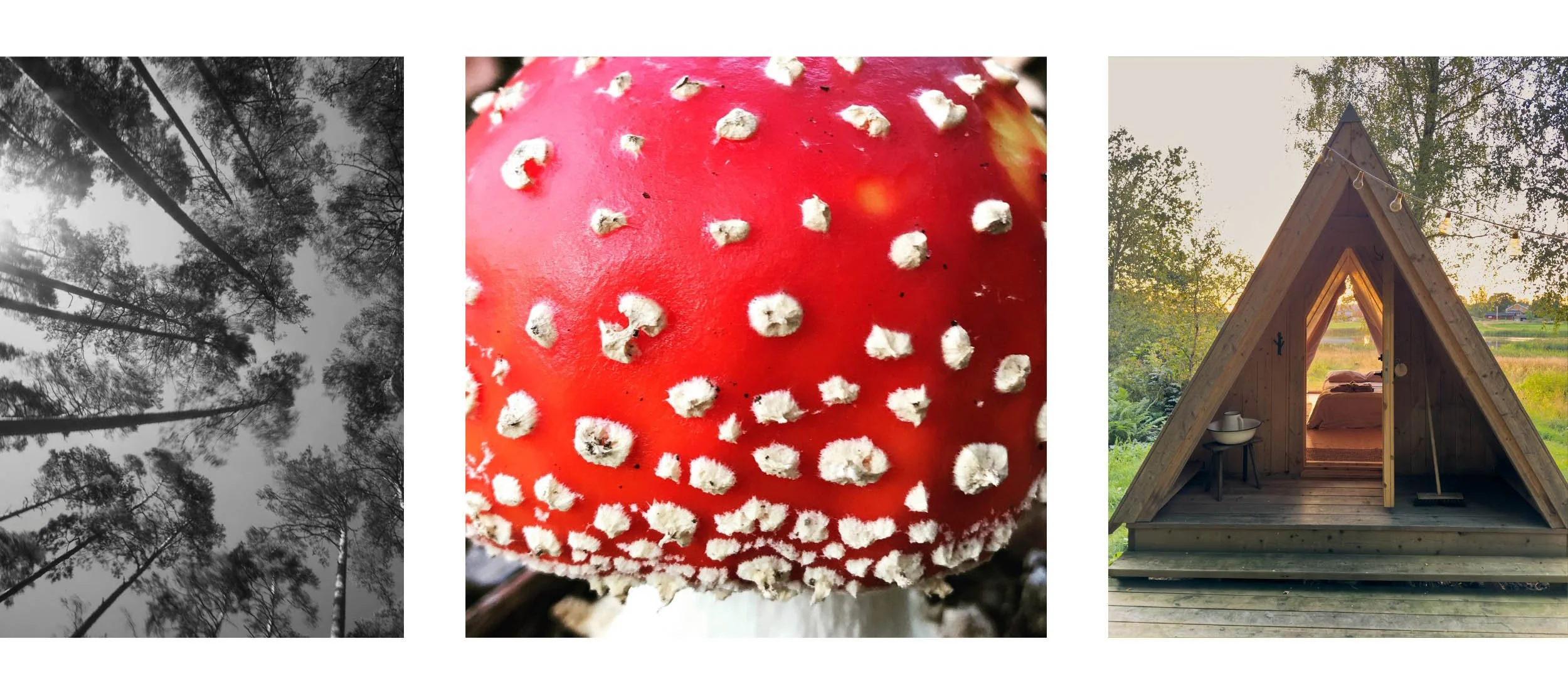 TRAV_SWEDEN_collage-8 copy.jpg