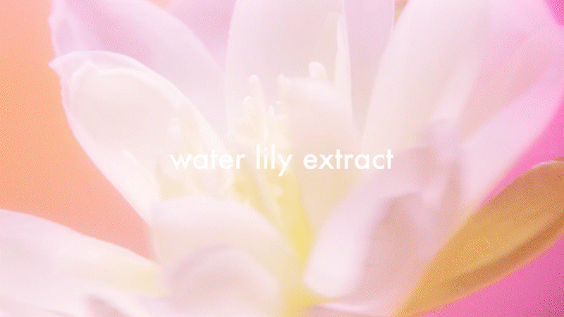 Sequence 04_5.gif